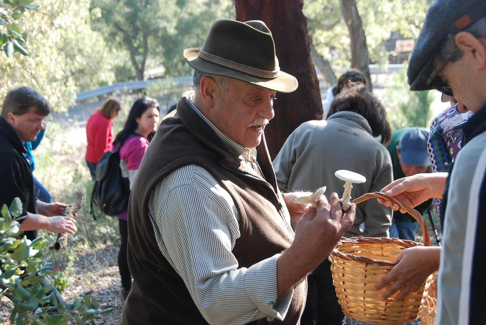 Ir con expertos, la mejor manera de recolectar setas
