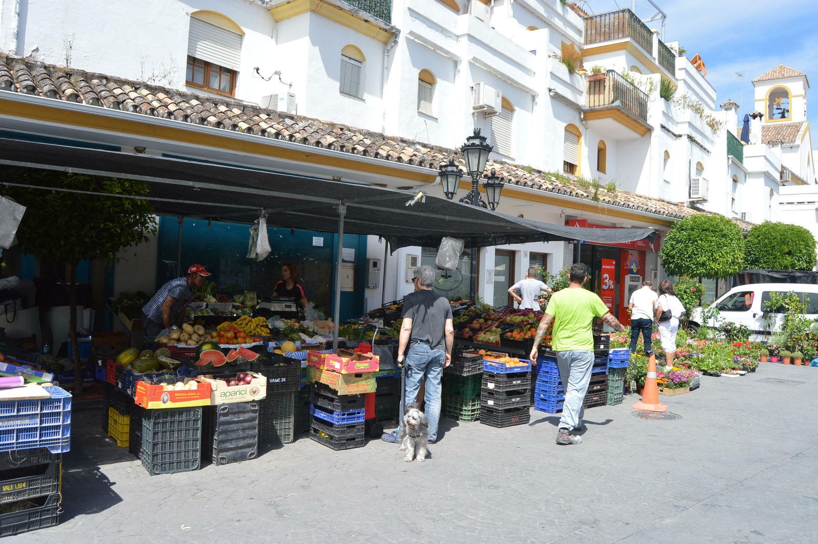 Varios ciudadanos en una calle de Benahavís