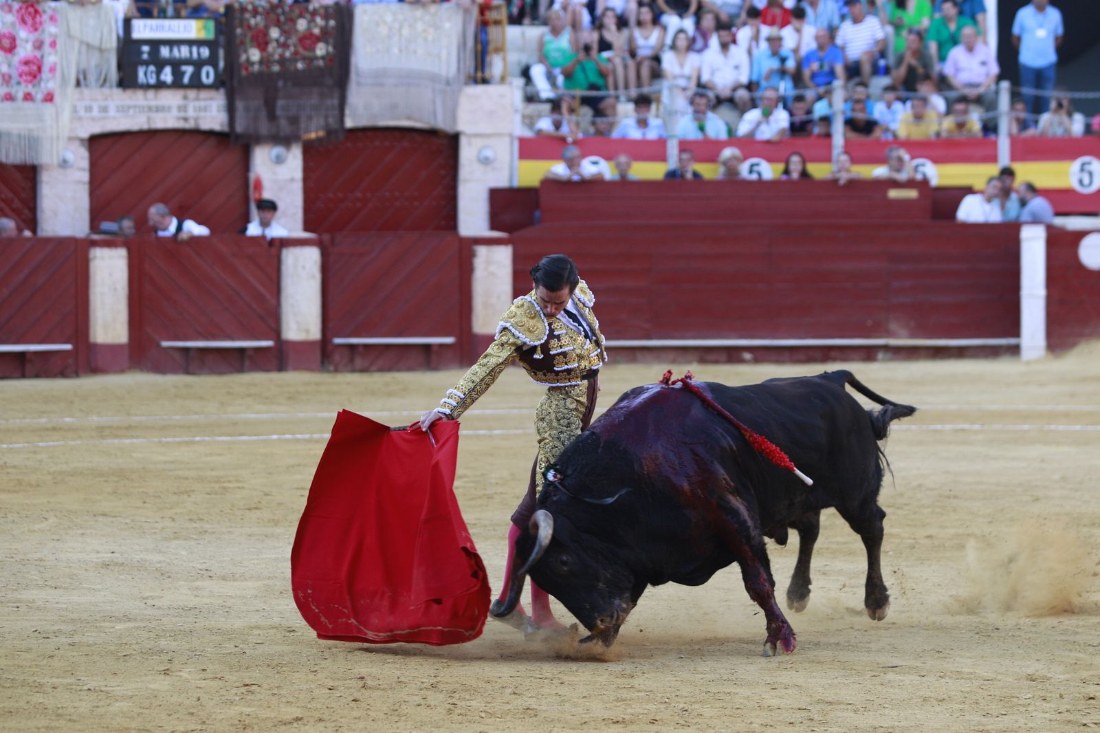 Imágenes del triunfo del torero almeriense Jorge Martínez el día de su alternativa