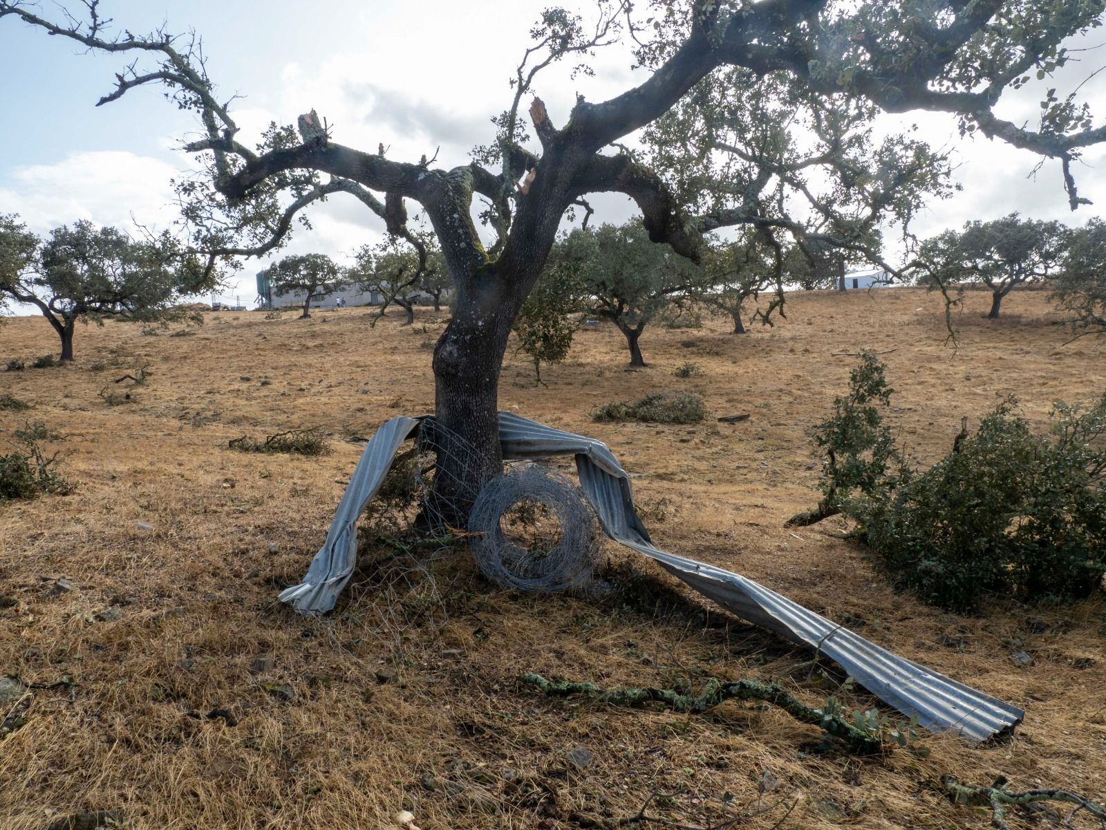 Imágenes de los destrozos provocados por un tornado en Villanueva de los Castillejos