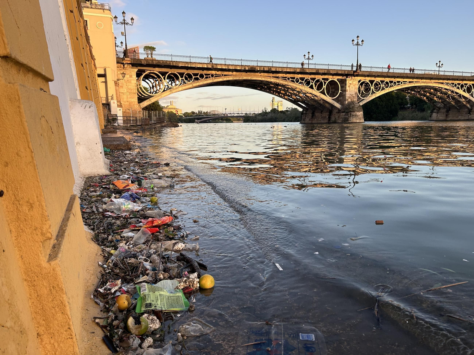 Así amanece hoy el Guadalquivir en Sevilla