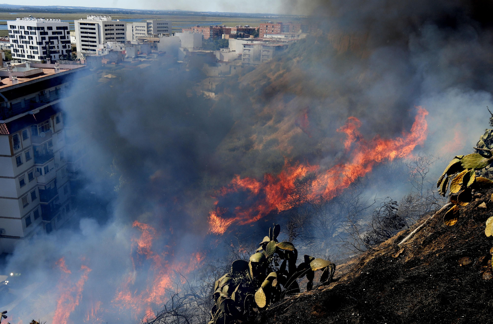 Imágenes del espectacular incendio en las laderas del Conquero
