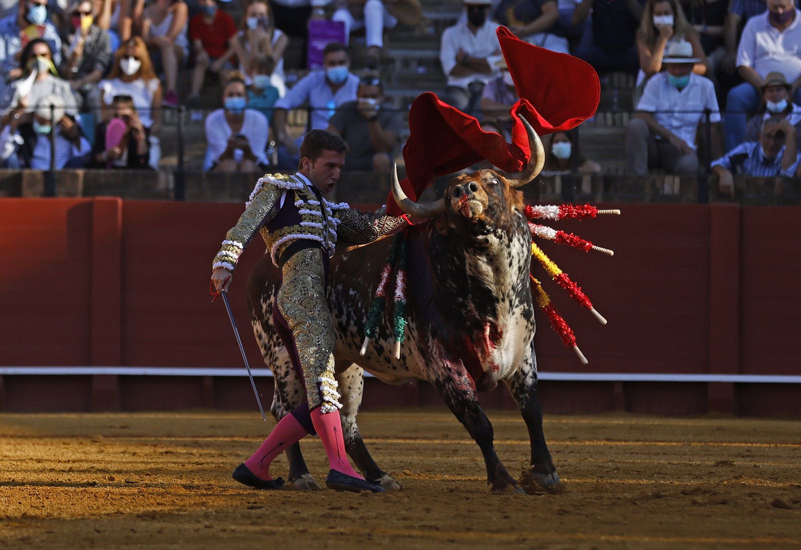 Fotos de la segunda novillada de la feria de San Miguel de Sevilla