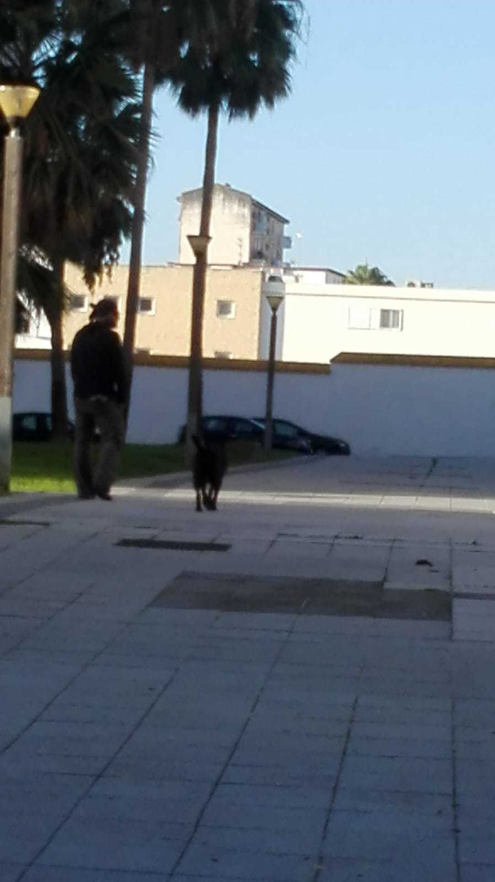 El bulevar de Jardín de Cano, afectado también por la falta de limpieza.