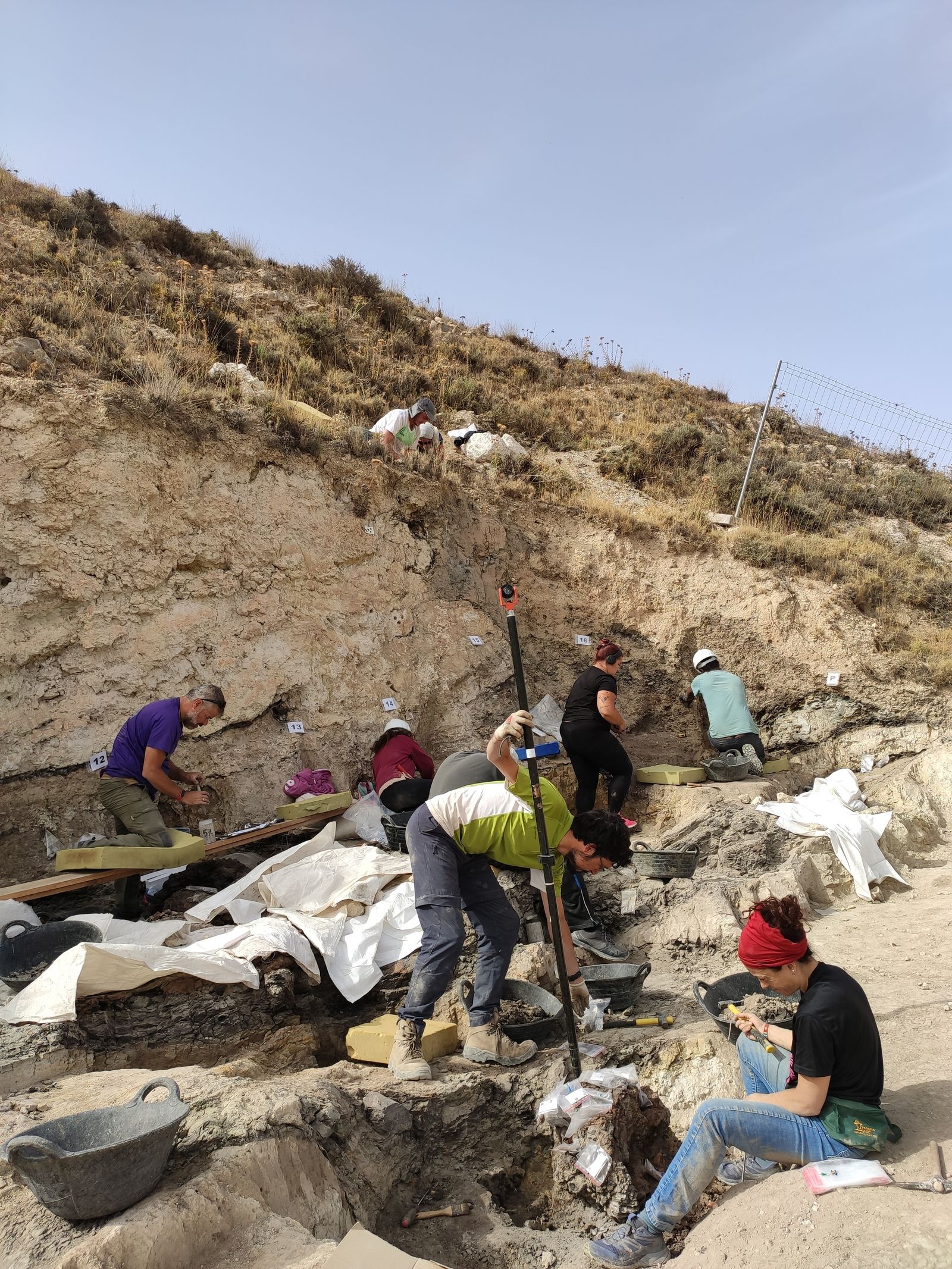 Un proyecto paleontológico en Baza aportará luz sobre el plioceno europeo