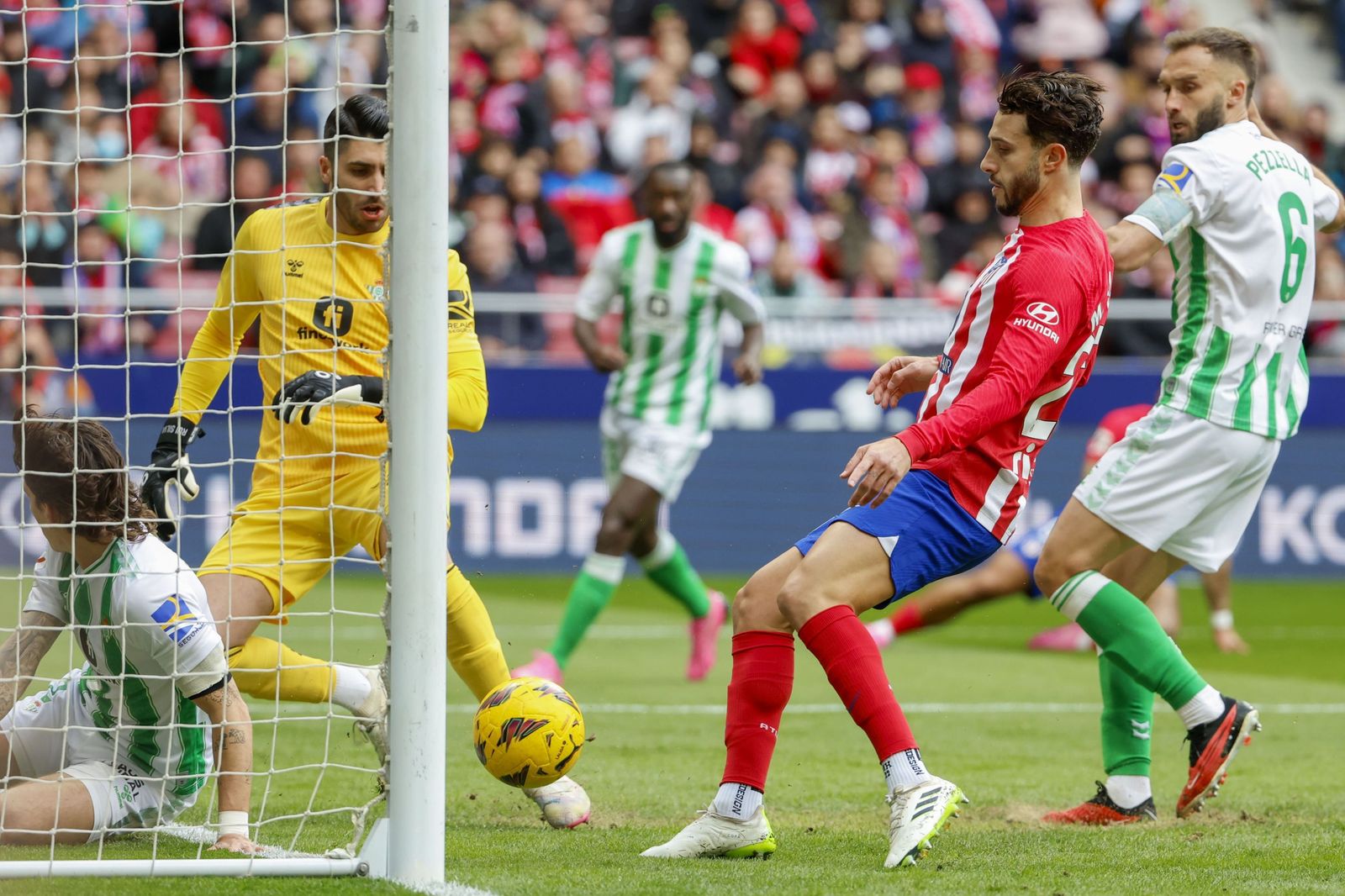 Las fotos del Atlético de Madrid - Betis