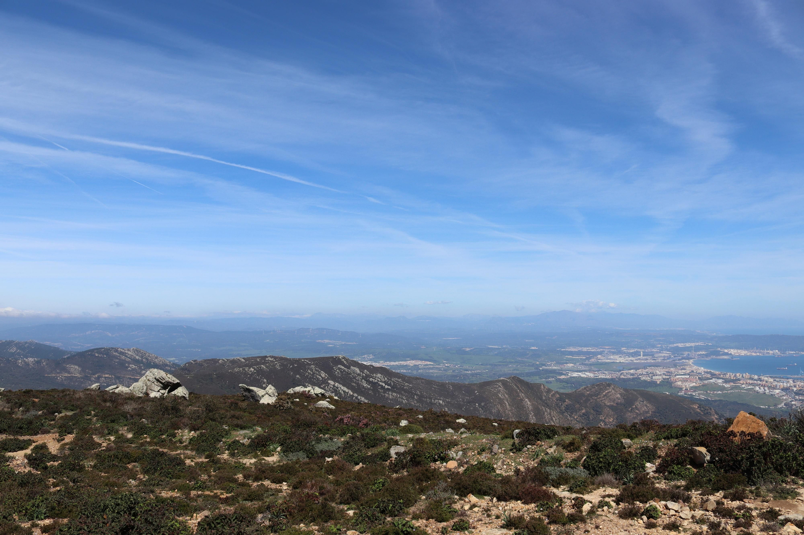 Fotos de la flora y fauna del Parque Natural de Los Alcornocales