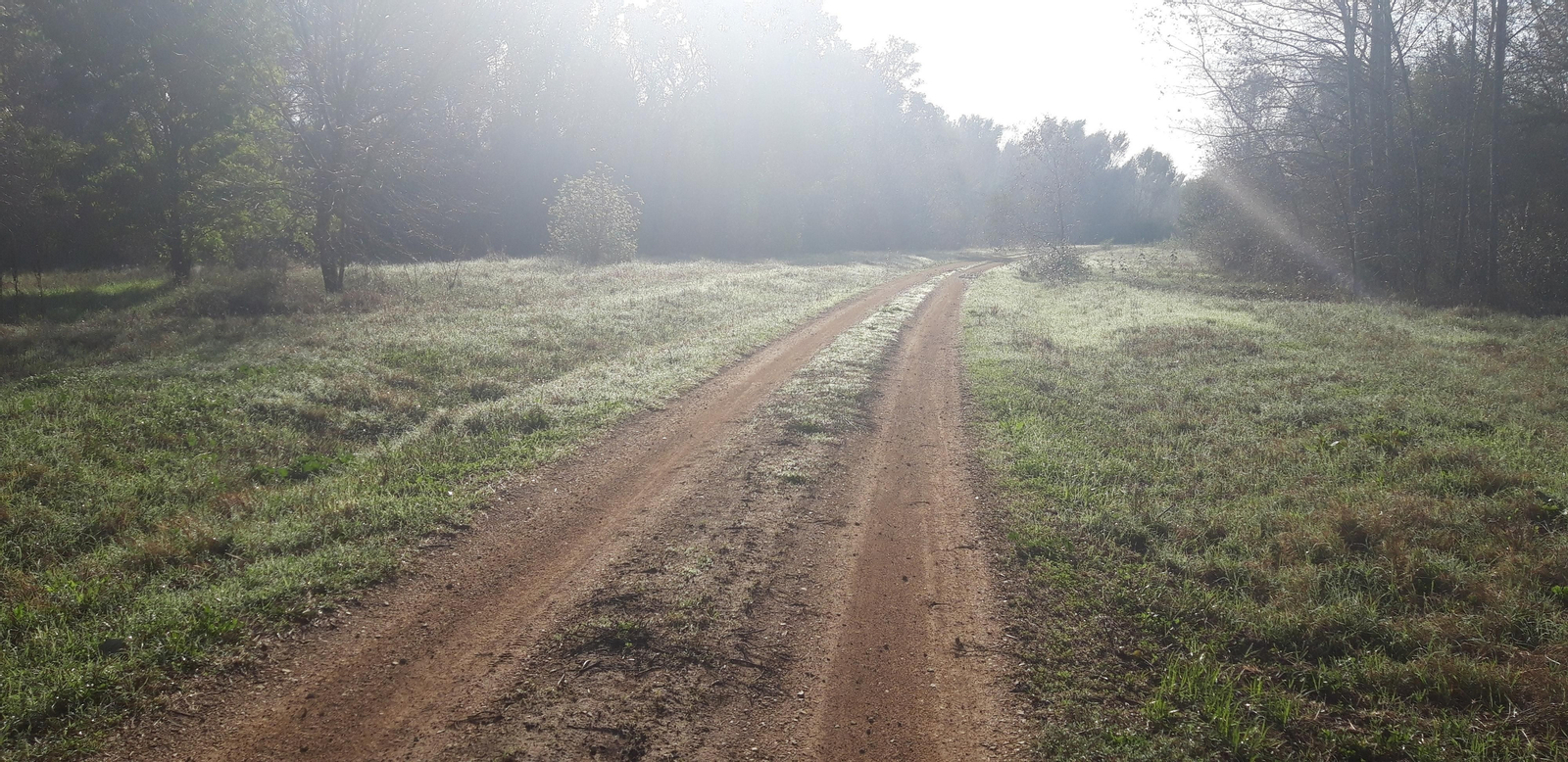 Fotos del Corredor del Guadiamar y el Vado del Quema