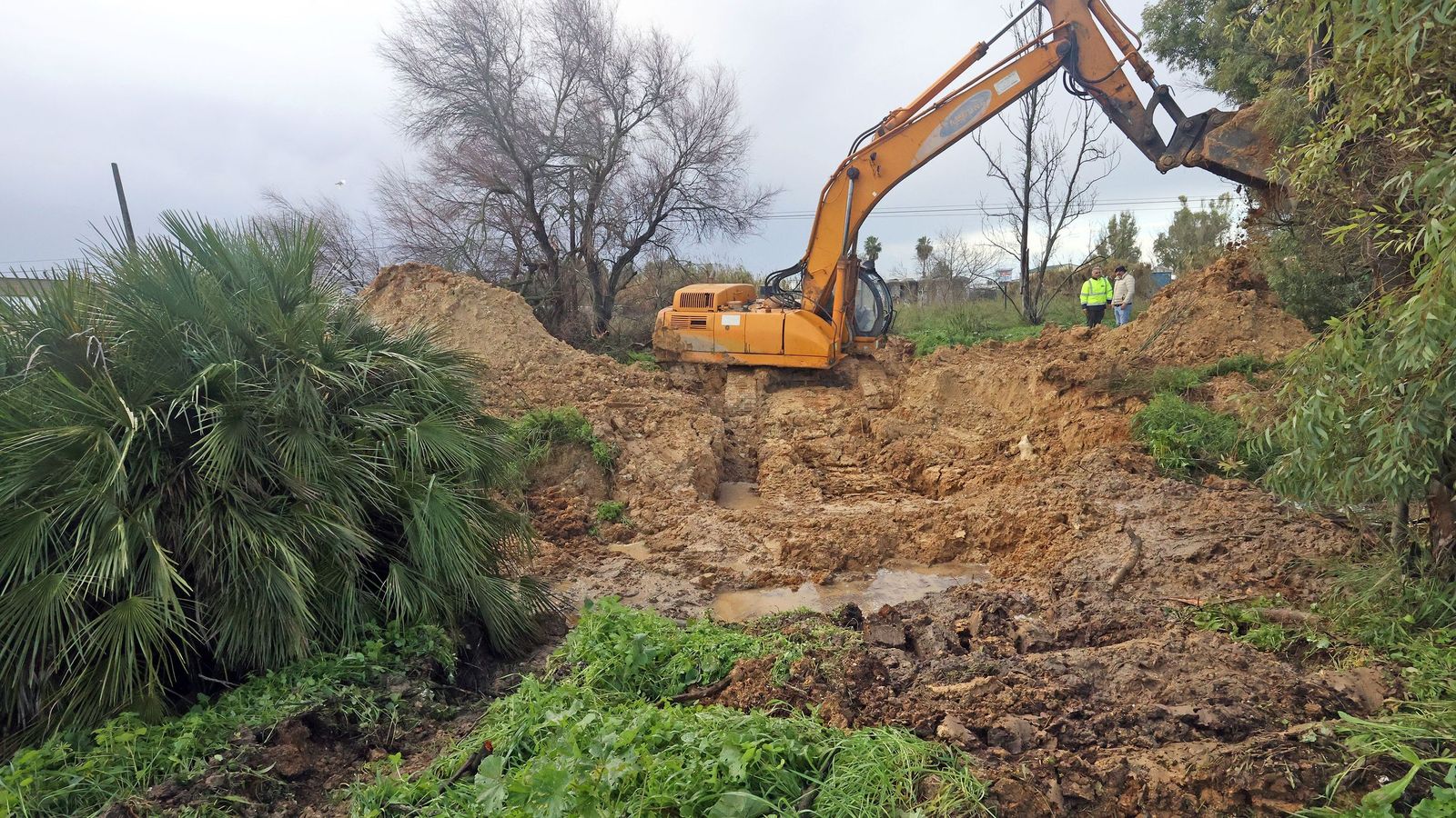 Así afronta la zona rural de Jerez la subida del río Guadalete