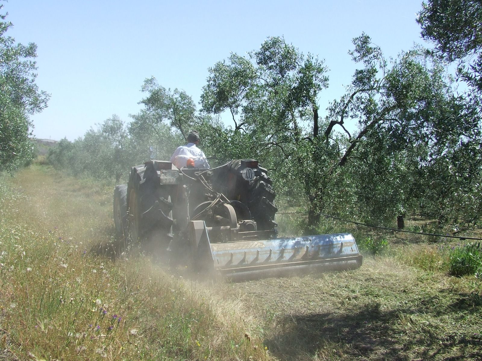 Trabajos en una explotación agrícola