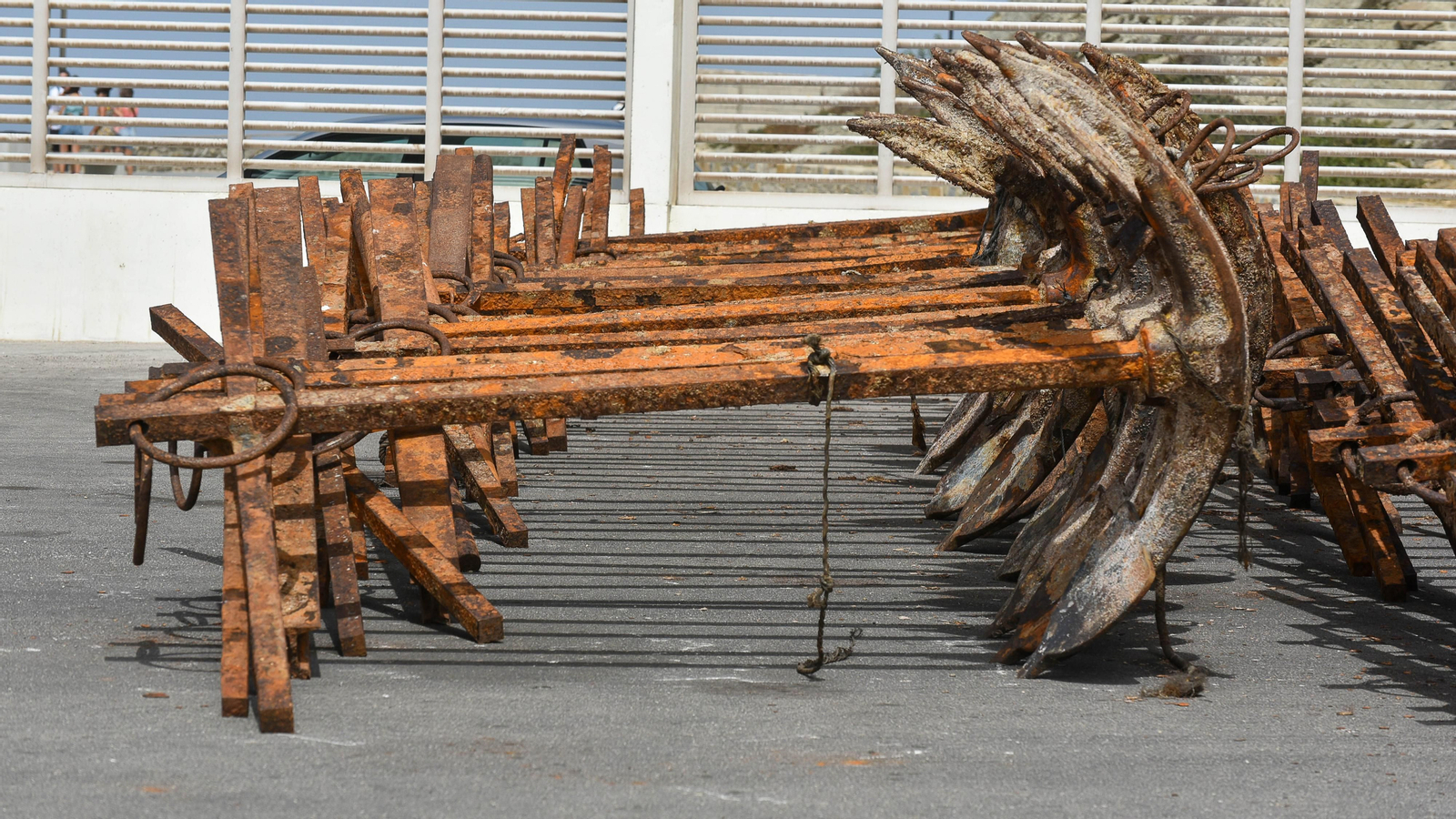 Las fotos del puerto pesquero de Tarifa