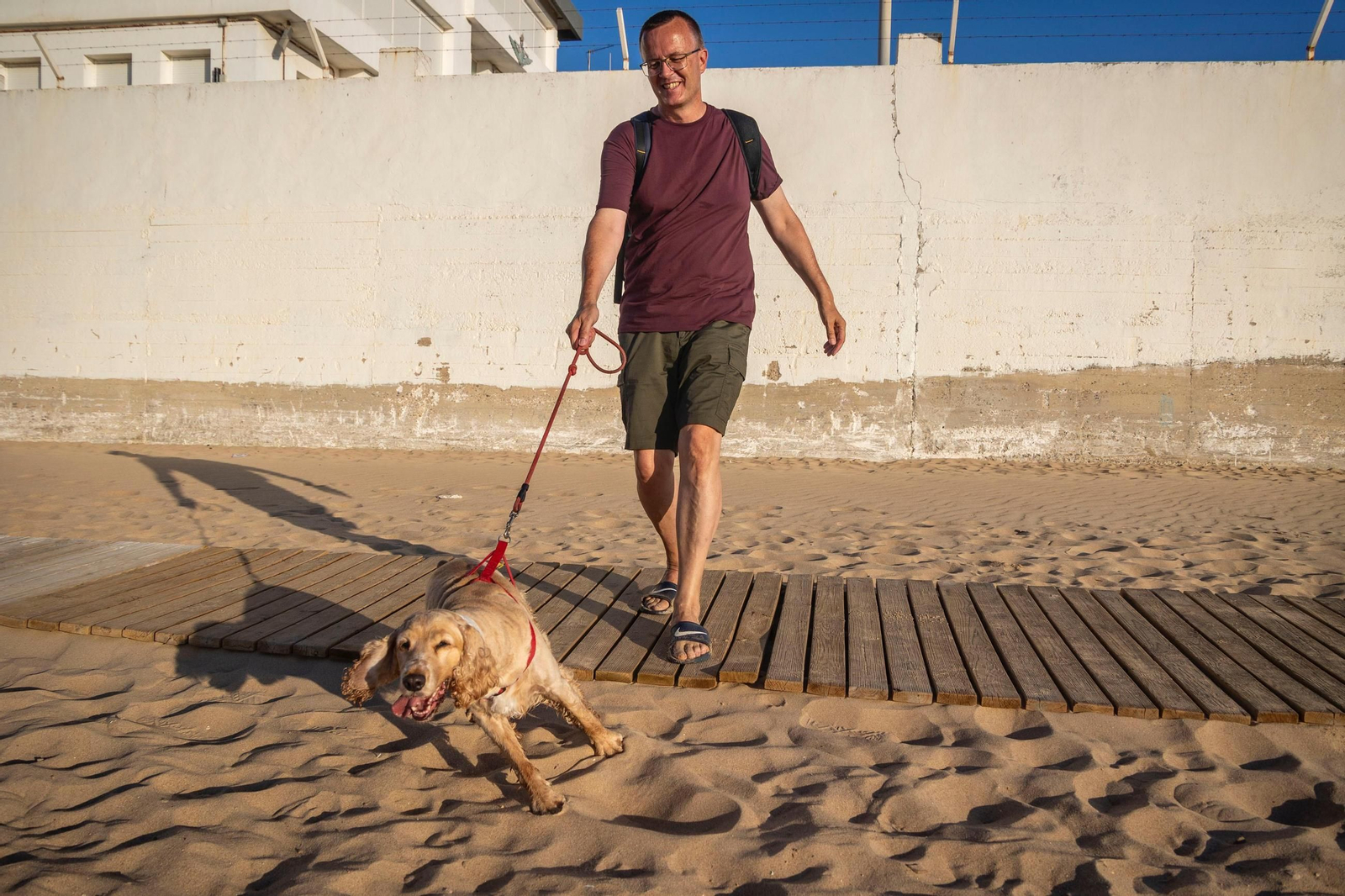 Así disfrutan los perros y sus dueños en la playa canina de Cádiz