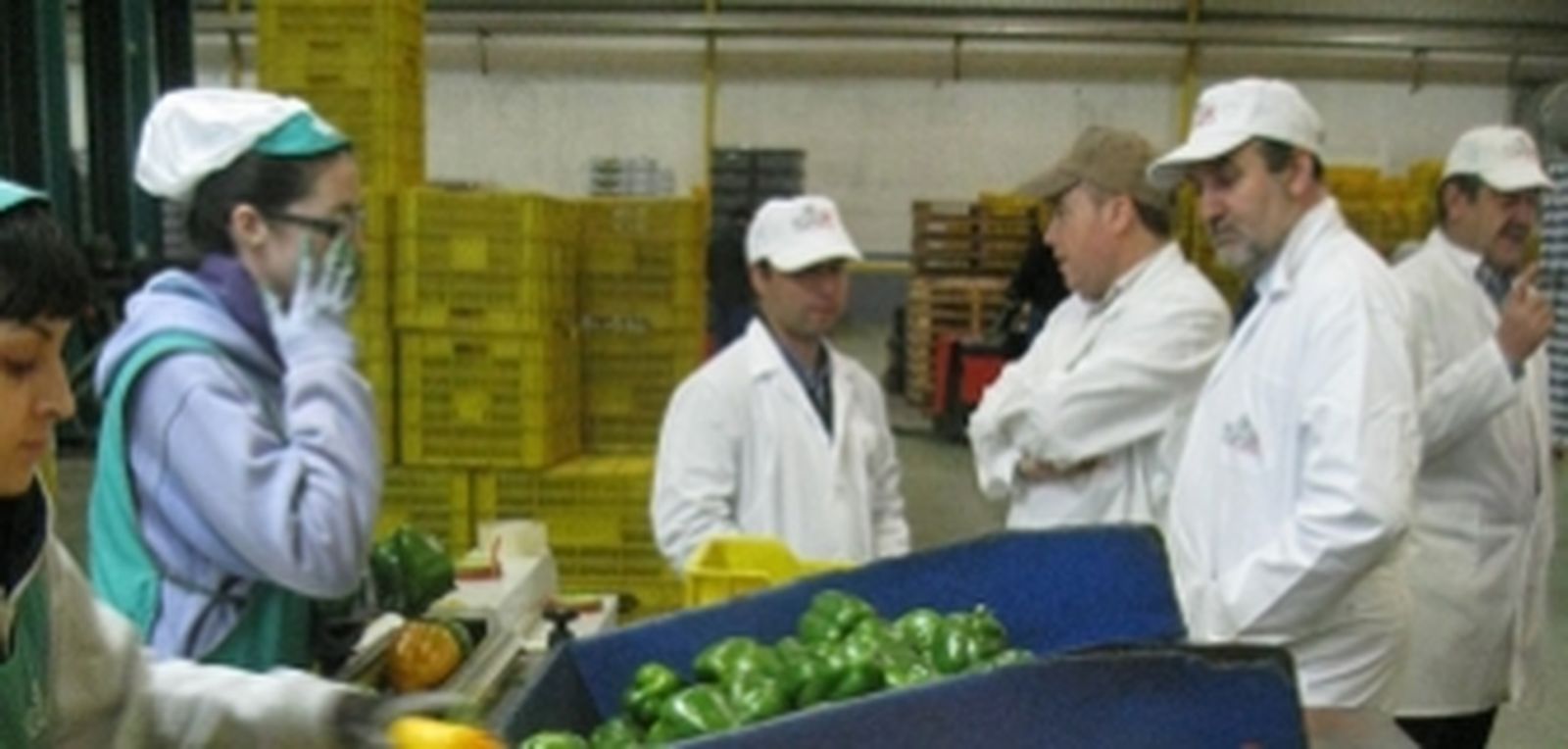 La Junta de Andalucía gestiona ayudas de 44,5 millones de Fondos Operativos para cuarenta OPFH de Almería