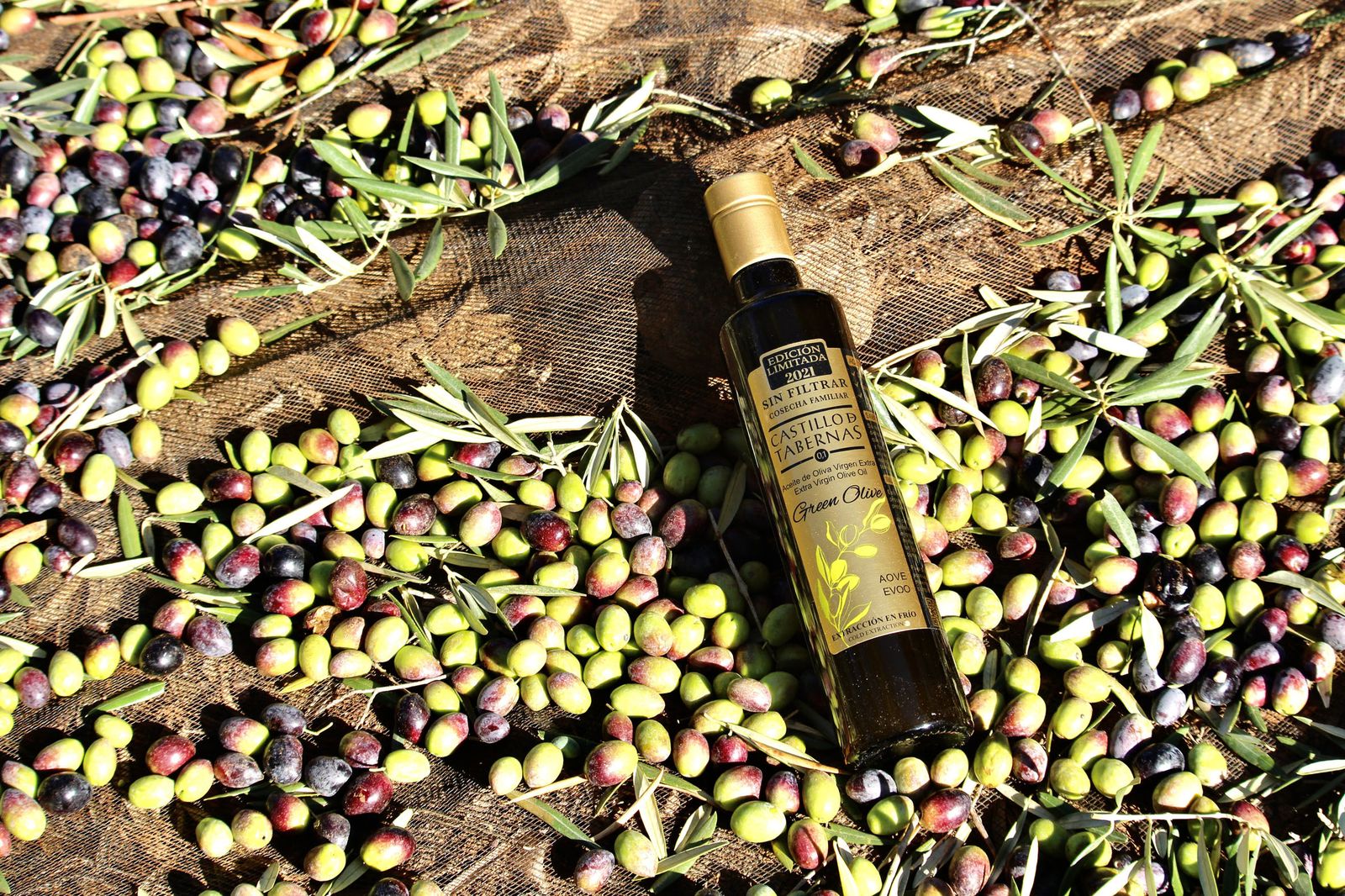El AOVE Castillo de Tabernas se elabora en un magnífico pulmón verde en el centro de la provincia de Almería, junto al Desierto de Tabernas.
