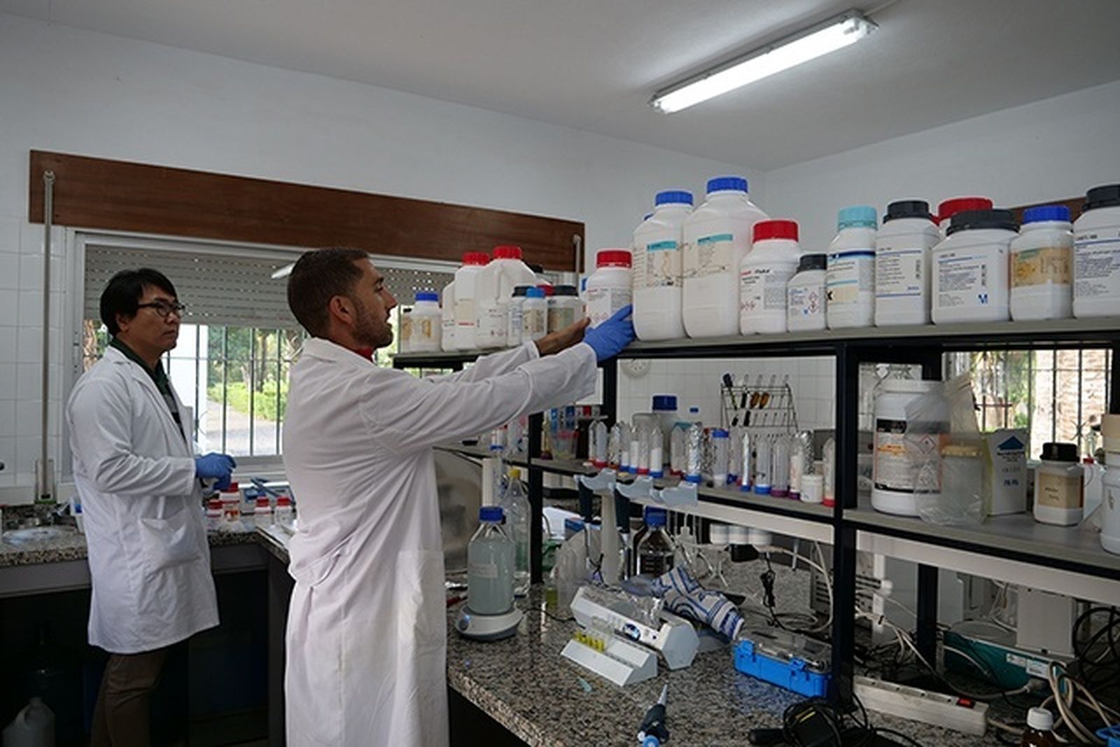 Investigadores del Instituto IBYDA en la finca Grice-Hutchinson.