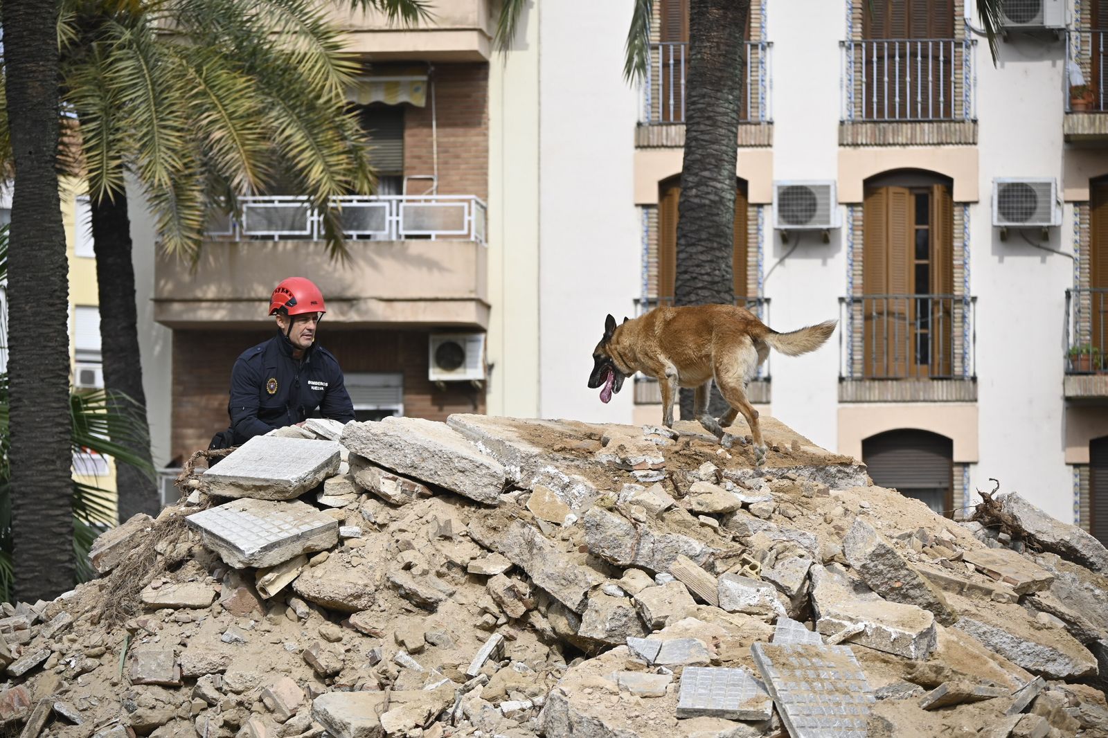 Simulacro de rescate de la Unidad Canina, en la Plaza de la Merced