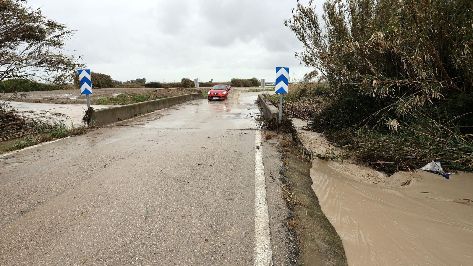 Imágenes del temporal de viento y lluvia en Jerez