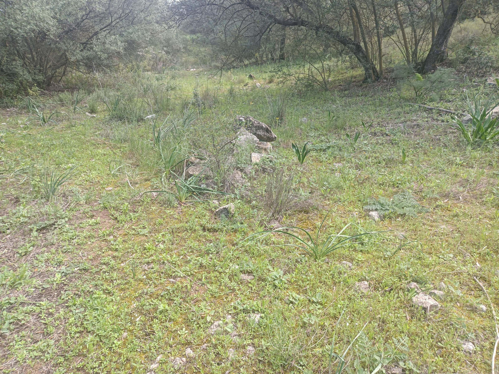 Hay que buscar marcas en piedras.