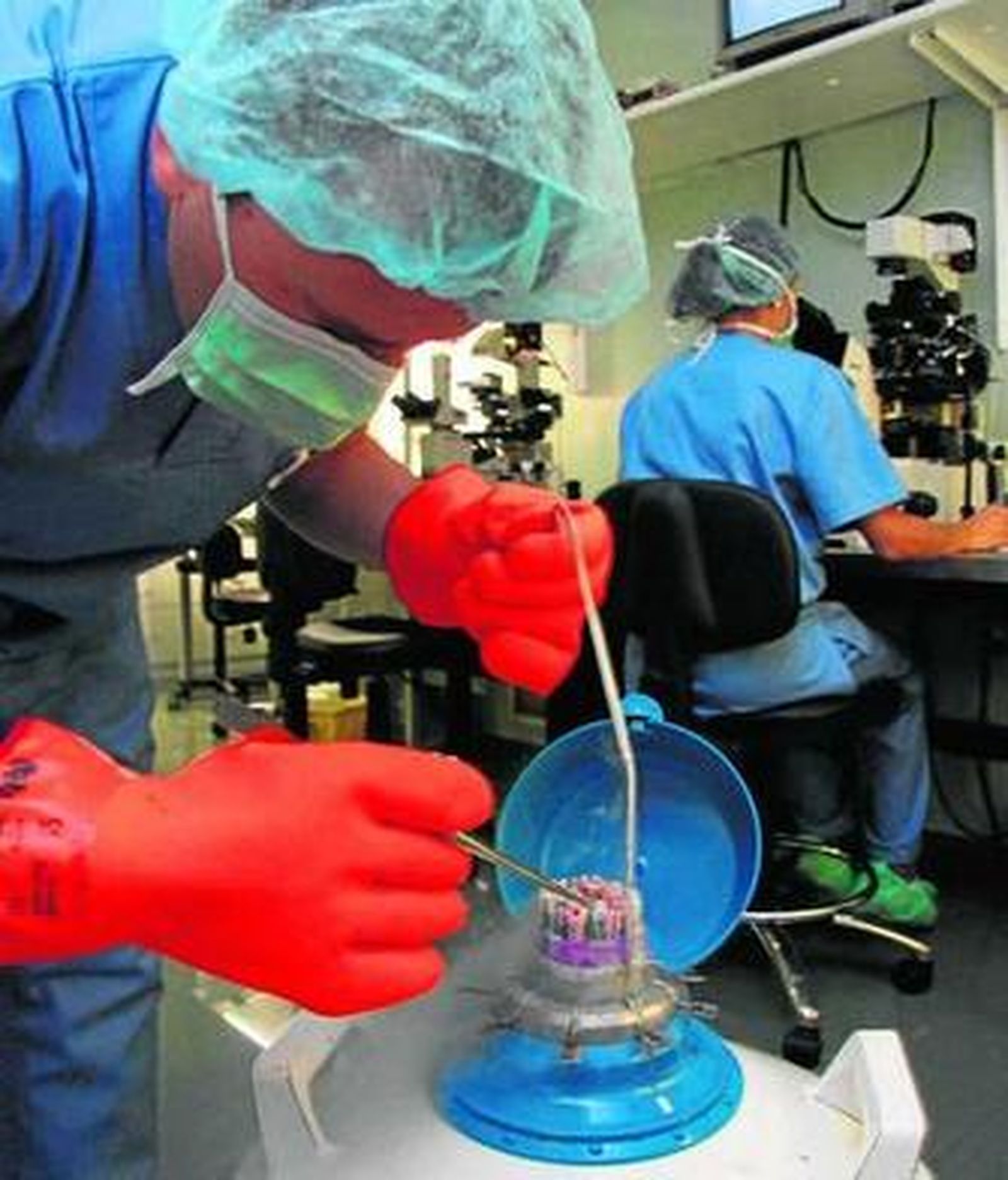 Los óvulos congelados se conservan en unos tanques especiales.