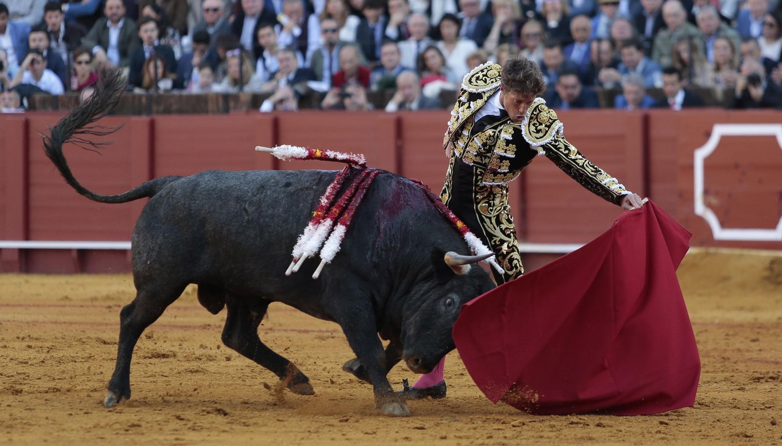 Manuel Escribano, con el segundo toro de la tarde.