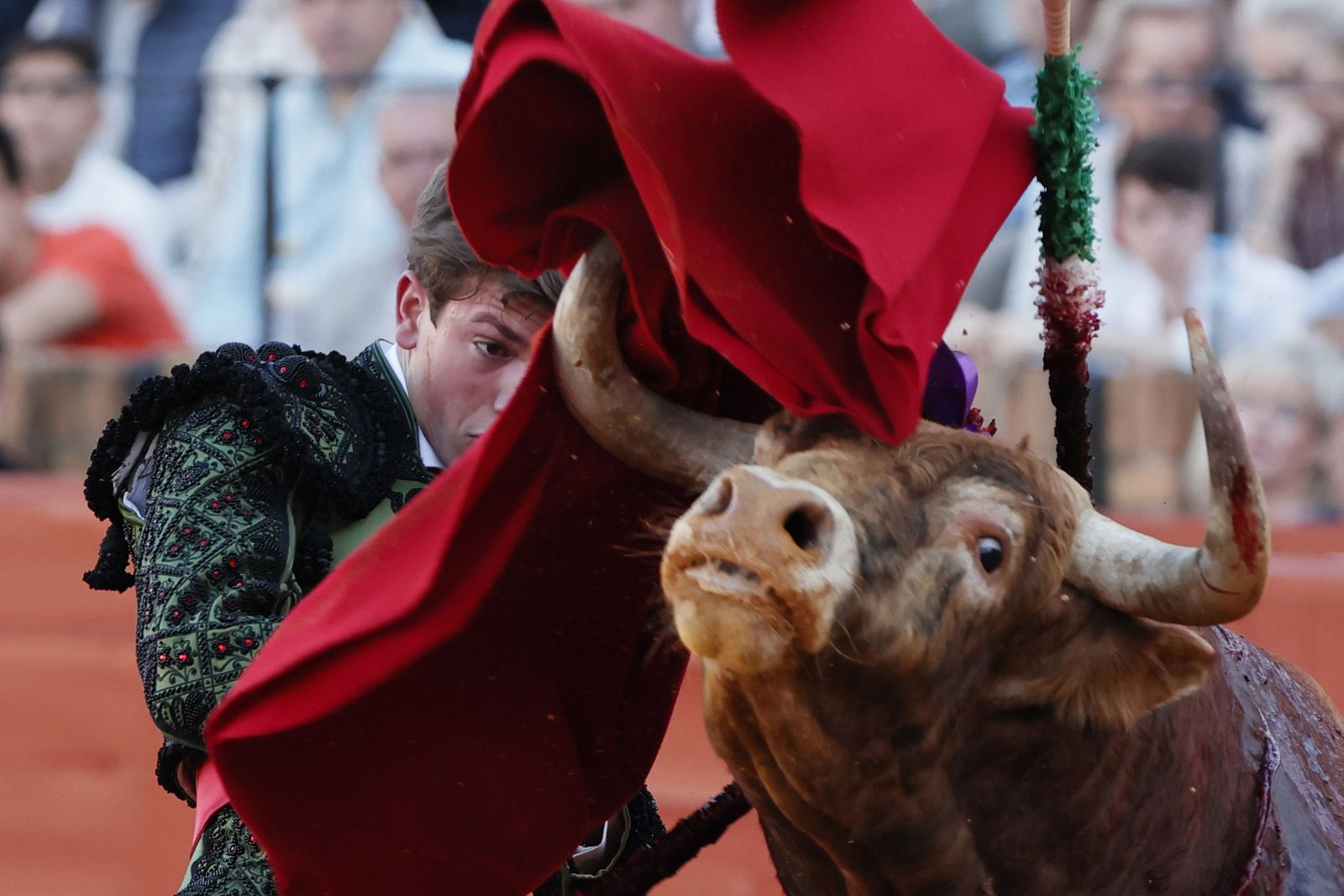 Las imágenes de la Novillada