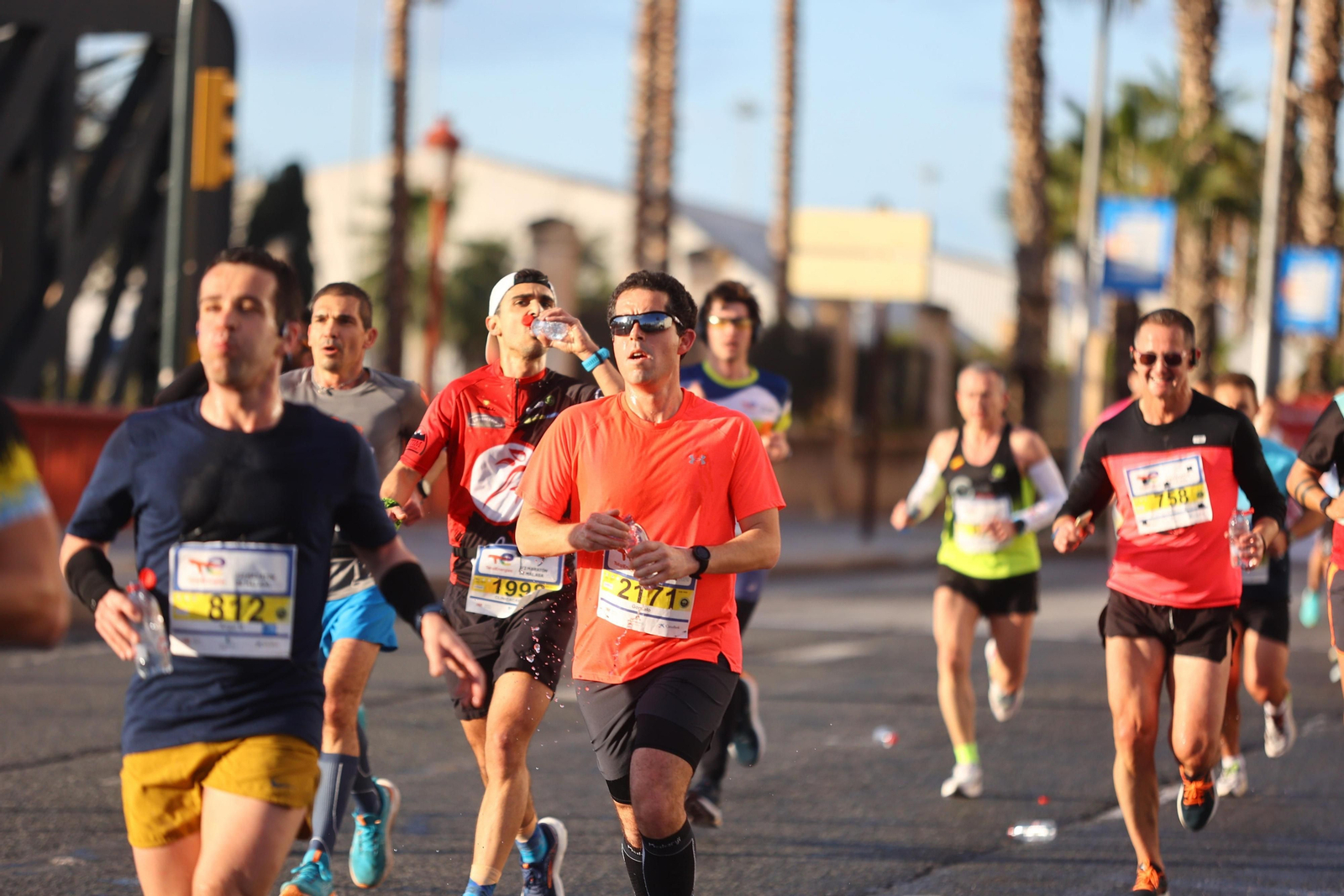 Las mejores fotos de la Media Maratón de Málaga 2024 Las mejores fotos de la Media Maratón de Málaga 2024