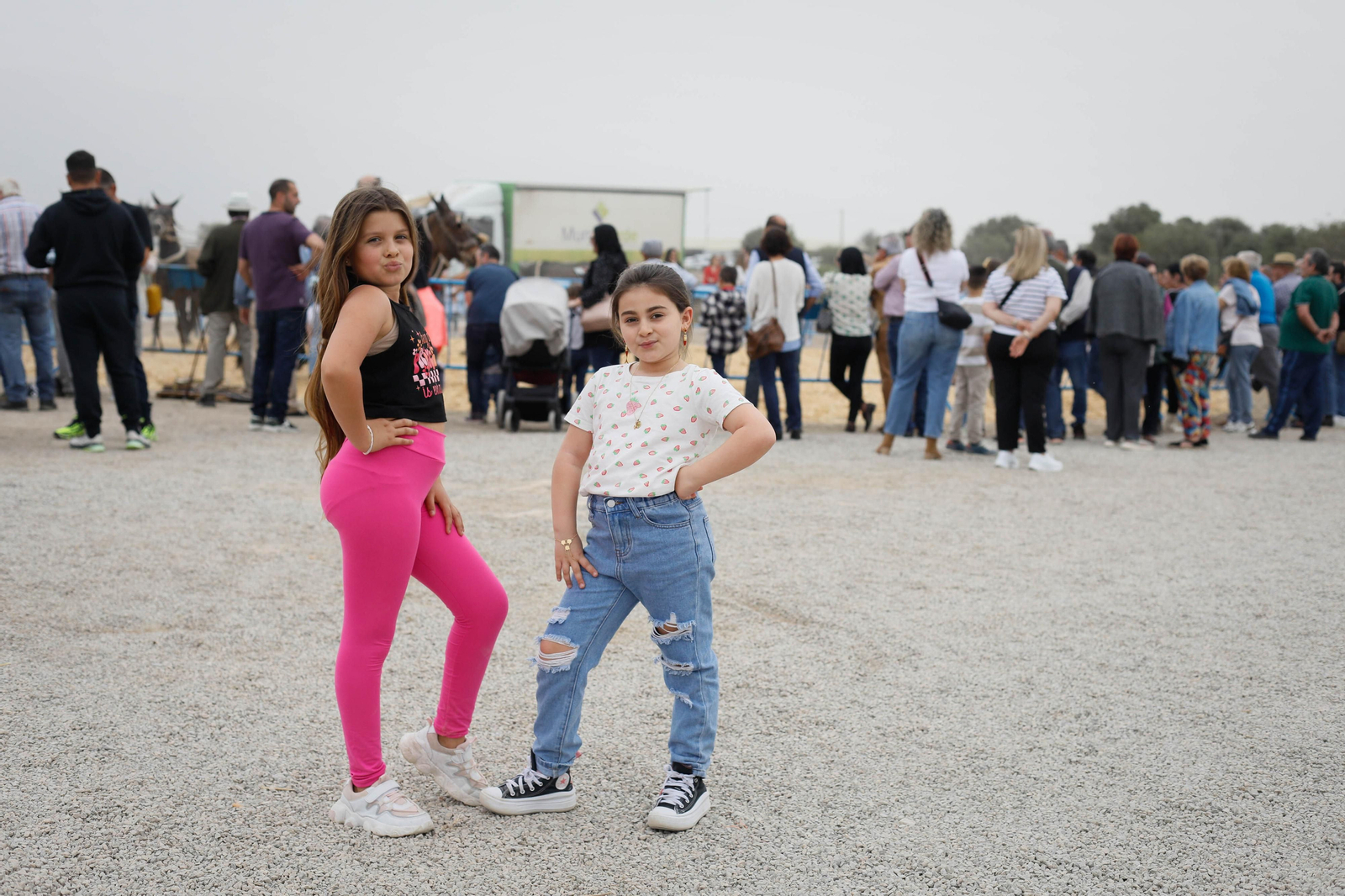 Galería de la Feria  de ganado en Tarambana