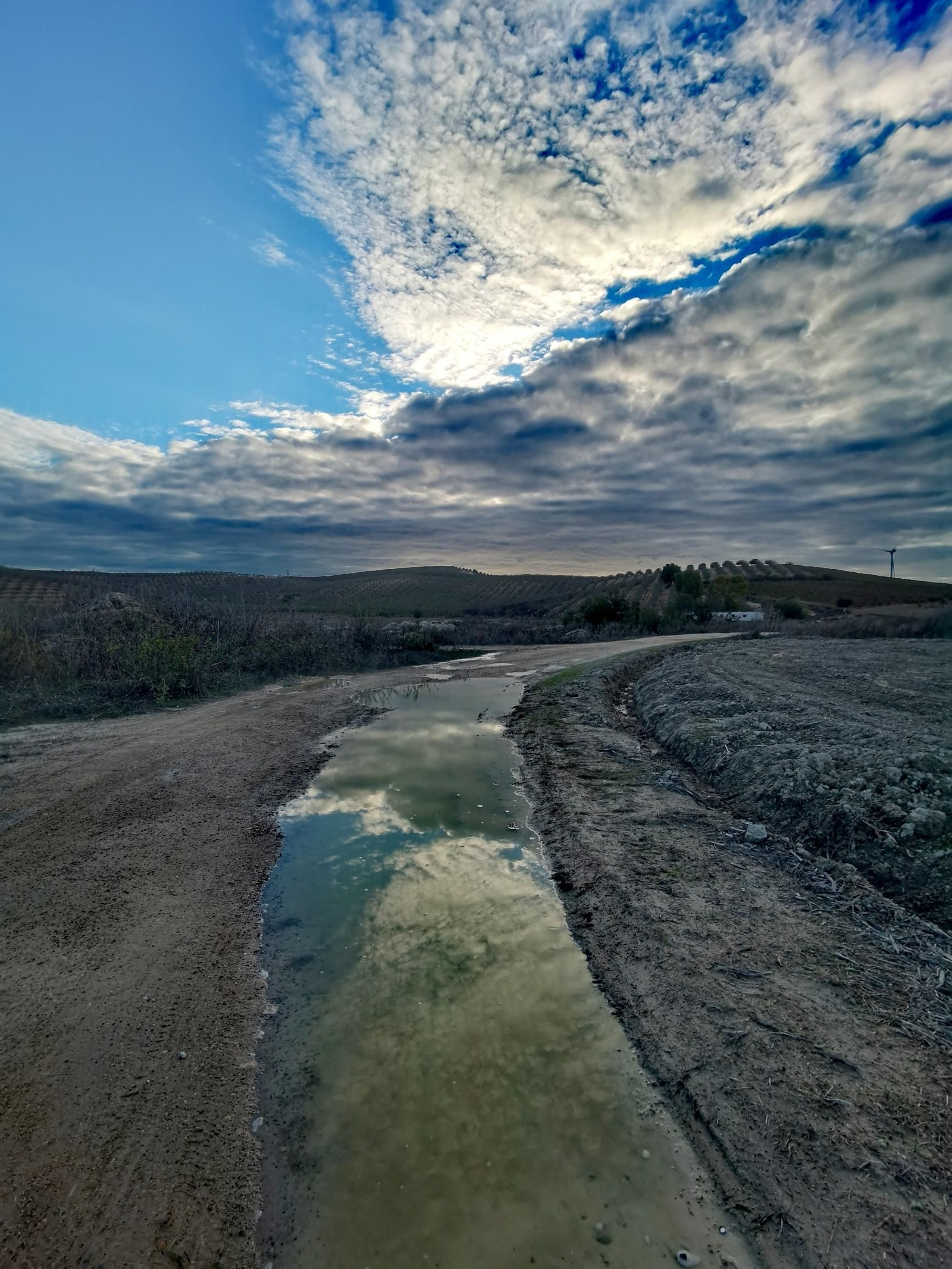 La Trocha junto al arroyo de la Loba La Trocha junto al arroyo de la Loba.jpg