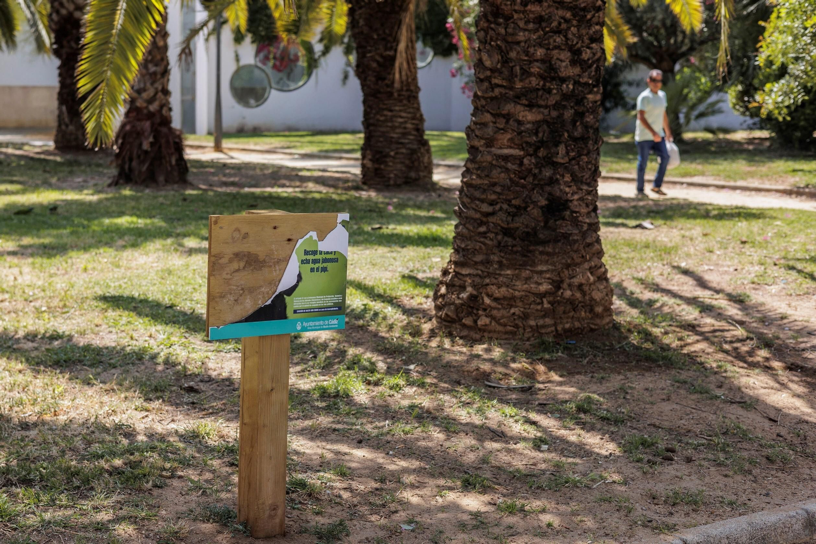 Las zonas verdes menos verdes de la ciudad de Cádiz