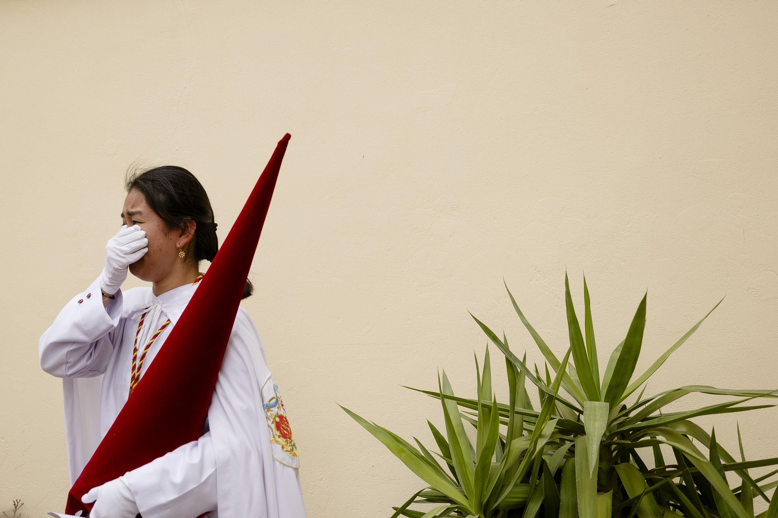Las imágenes de la cofradía de la Borriquita en la Semana Santa de Cádiz de 2024