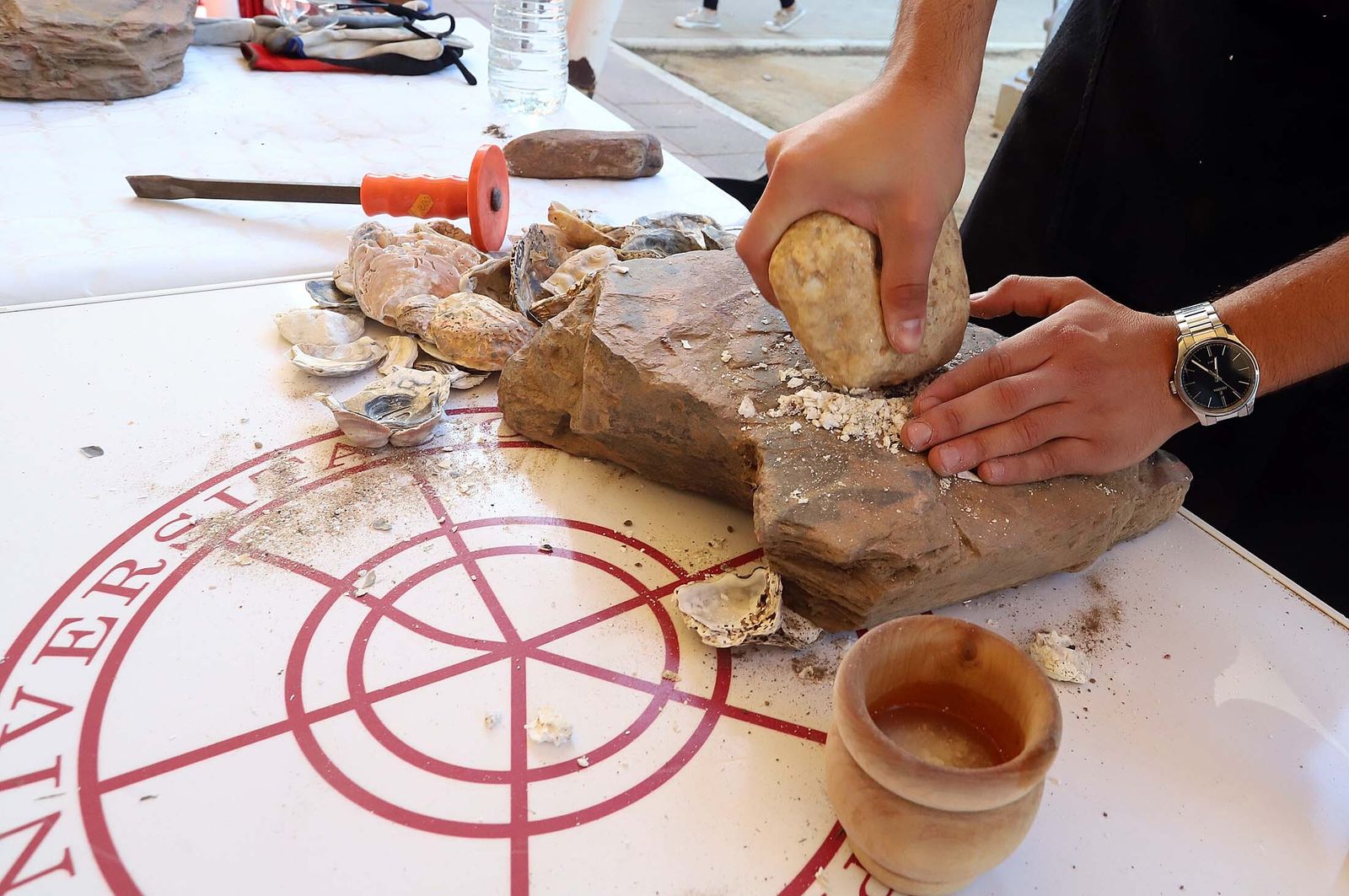 Imágenes de los talleres y actividades de La Noche Europea de los Investigadores