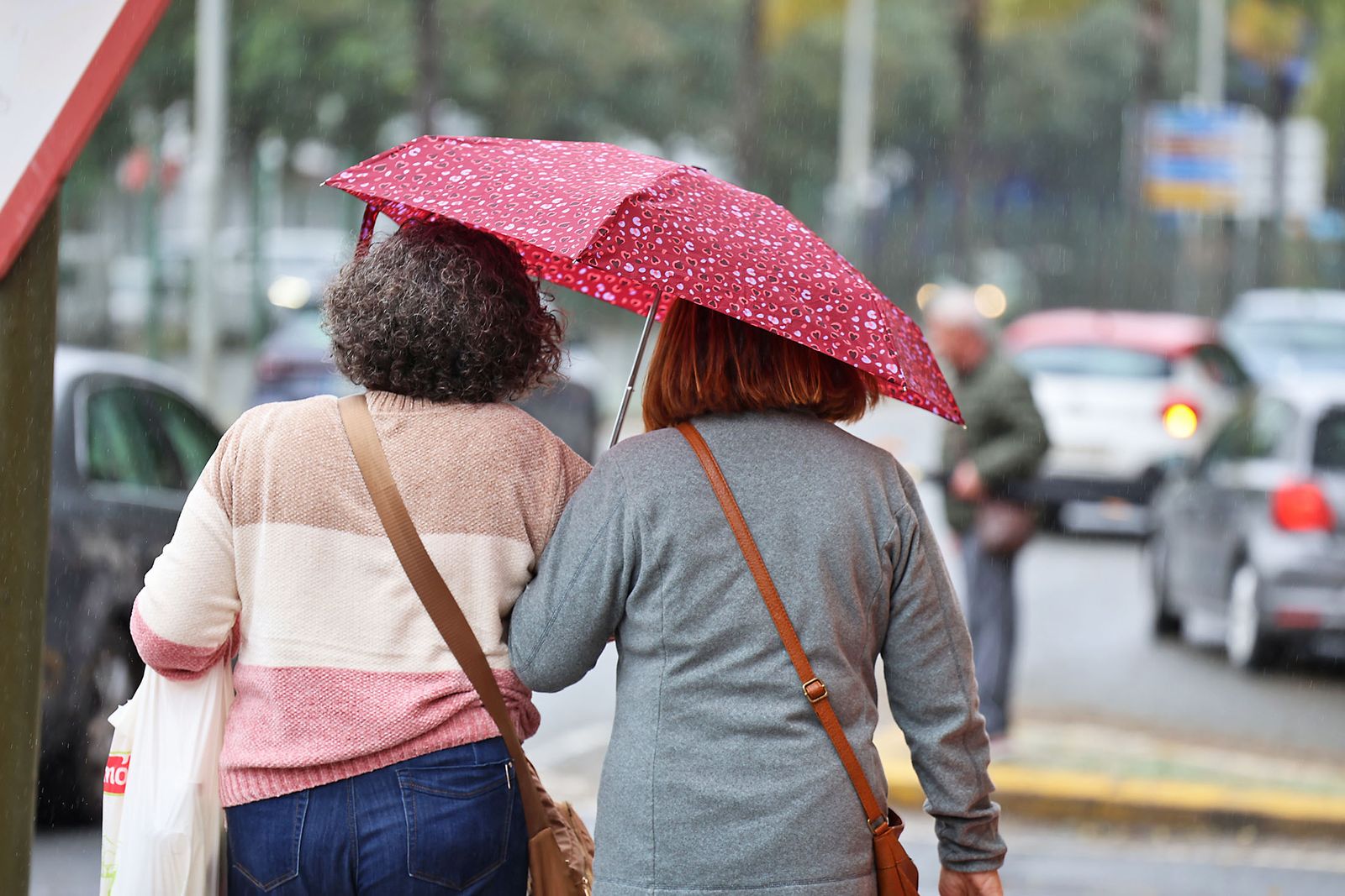 Las imágenes más destacadas del lunes 27 de enero en Huelva