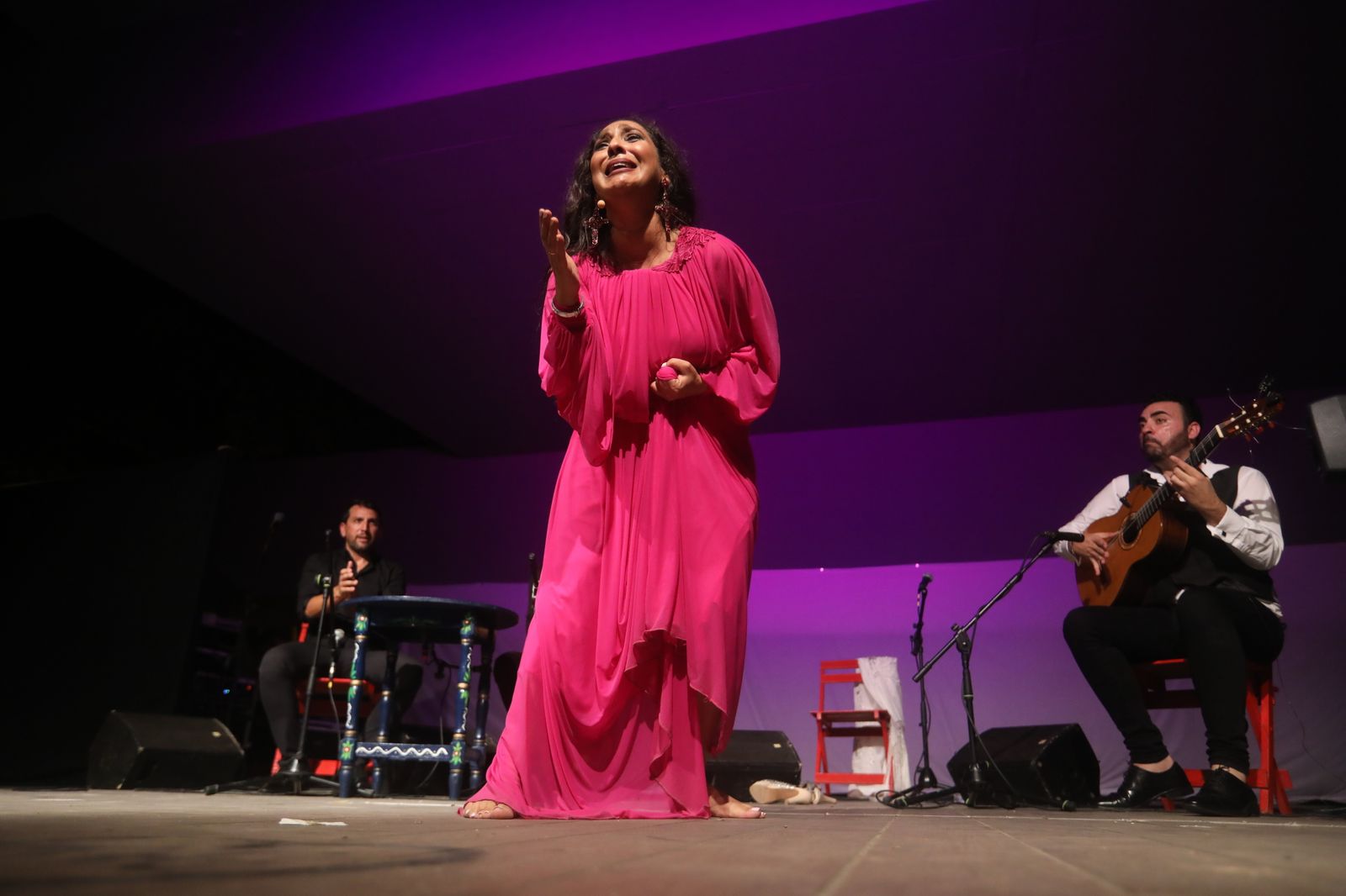La noche flamenca en el Parque de San Fernando, en imágenes