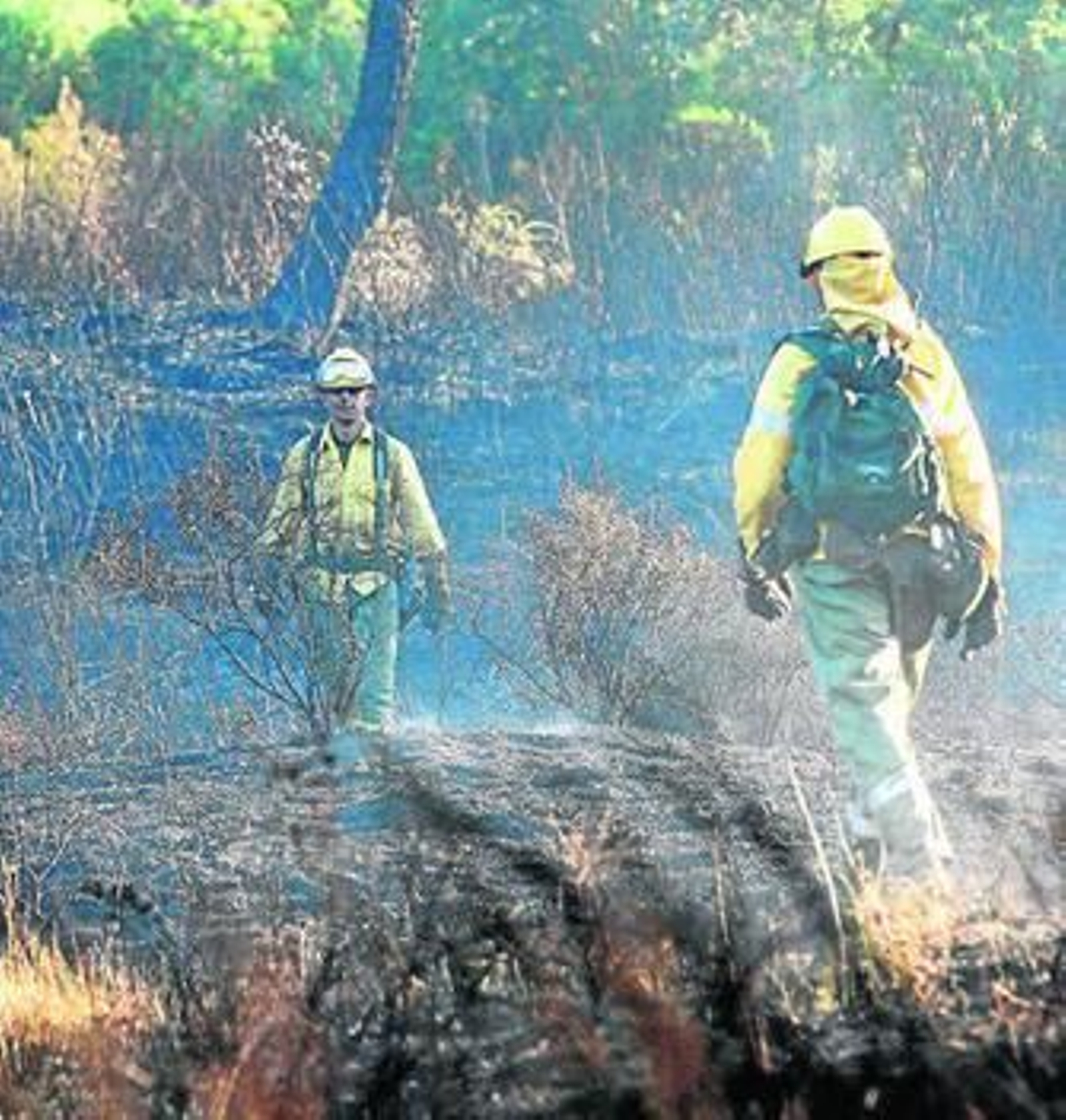 Técnicos del Infoca trabajan en la extinción del incendio, ayer. Técnicos del Infoca trabajan en la extinción del incendio, ayer.