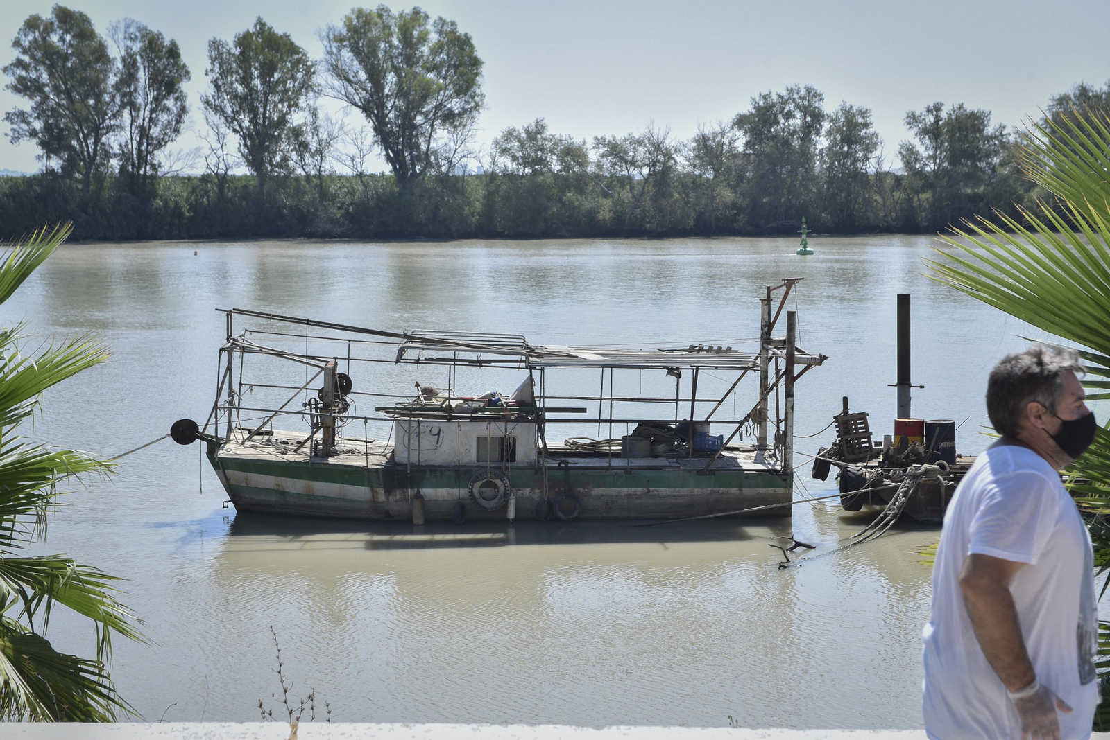 Virus del Nilo: la resistencia en los vecinos de Coria y Puebla del Río