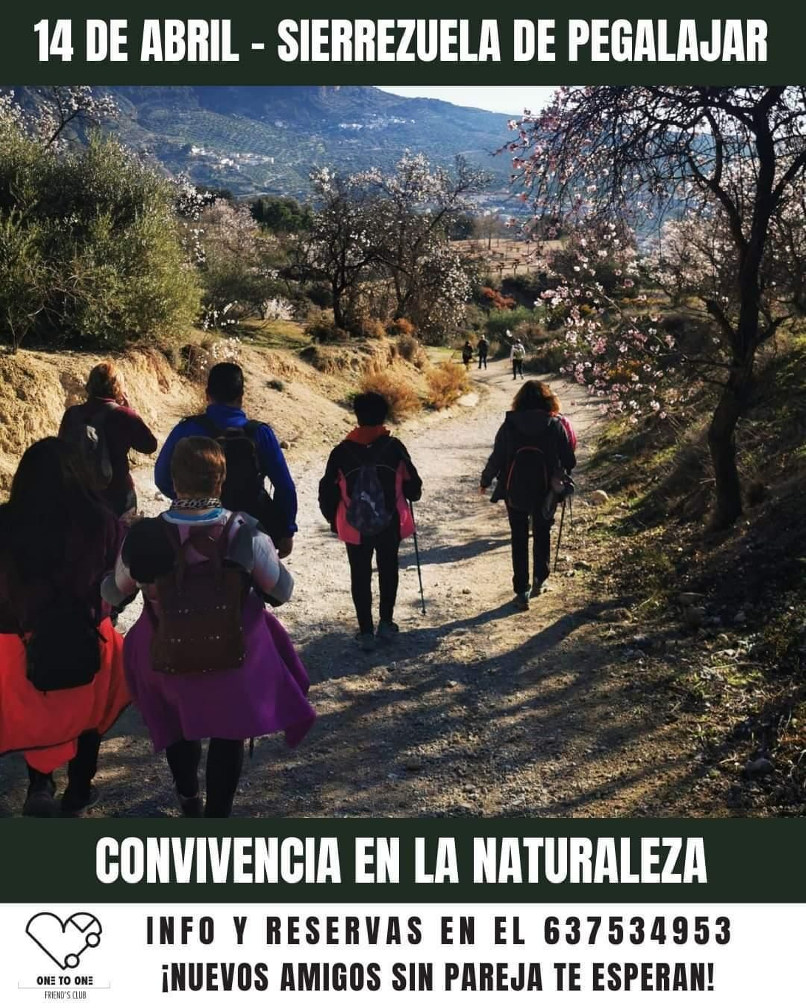 Vive un día completo en la naturaleza mientras conoces gente nueva con la que poder conectar.
