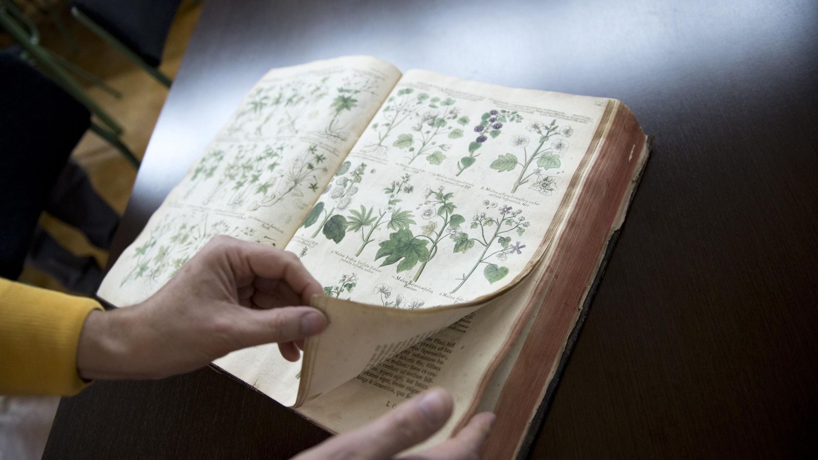 La biblioteca cuenta con un notable fondo bibliográfico.