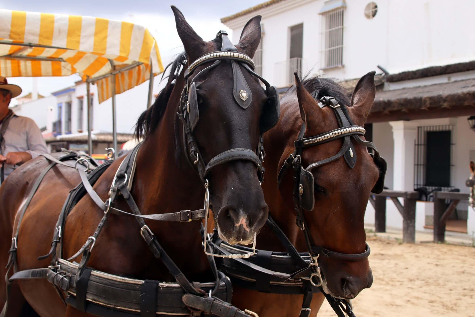 Así se vive la romería en las casas de la aldea