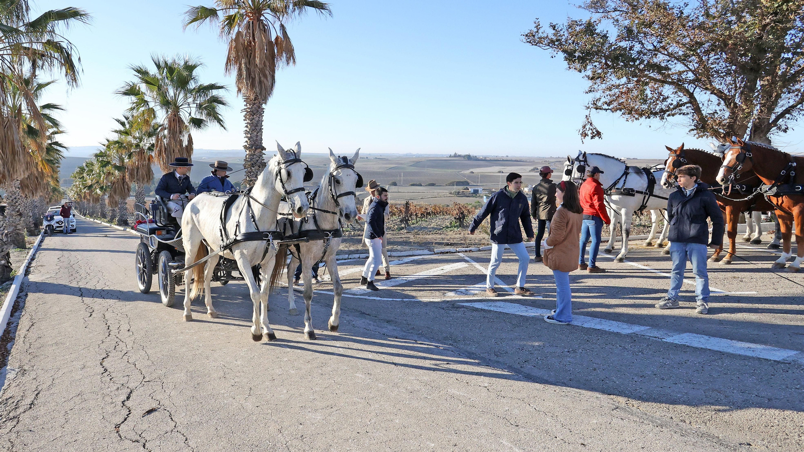 II Ruta Viñas de Jerez