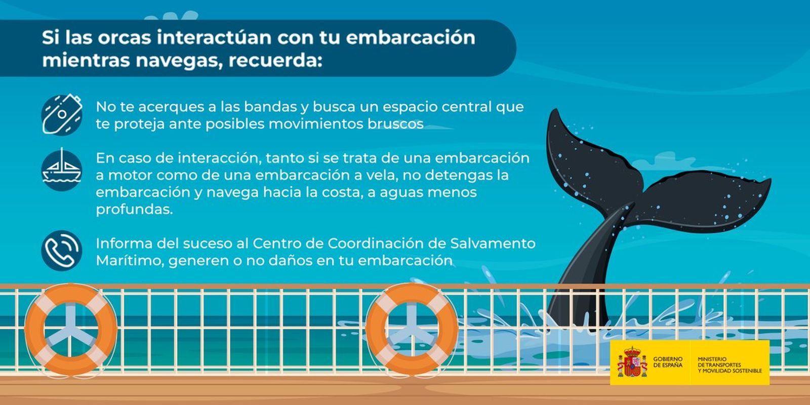 Las recomendaciones de Marina Mercante ante la navegación junto a orcas.