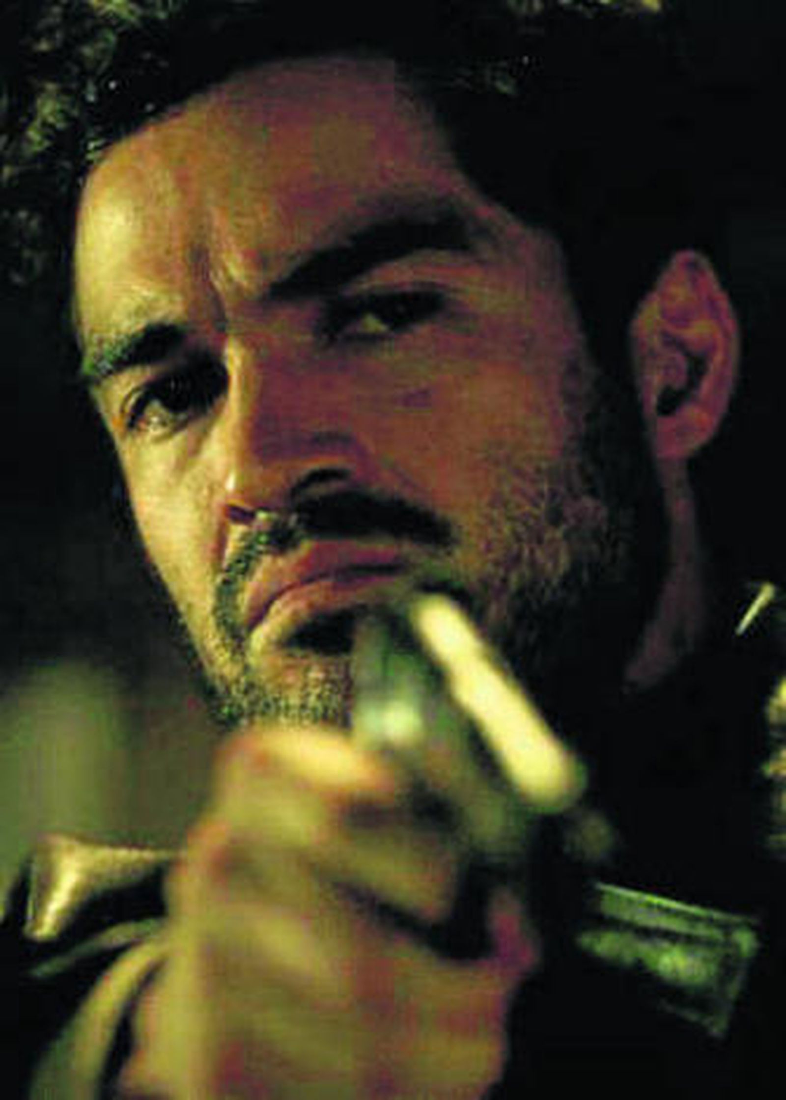 El piolet académico