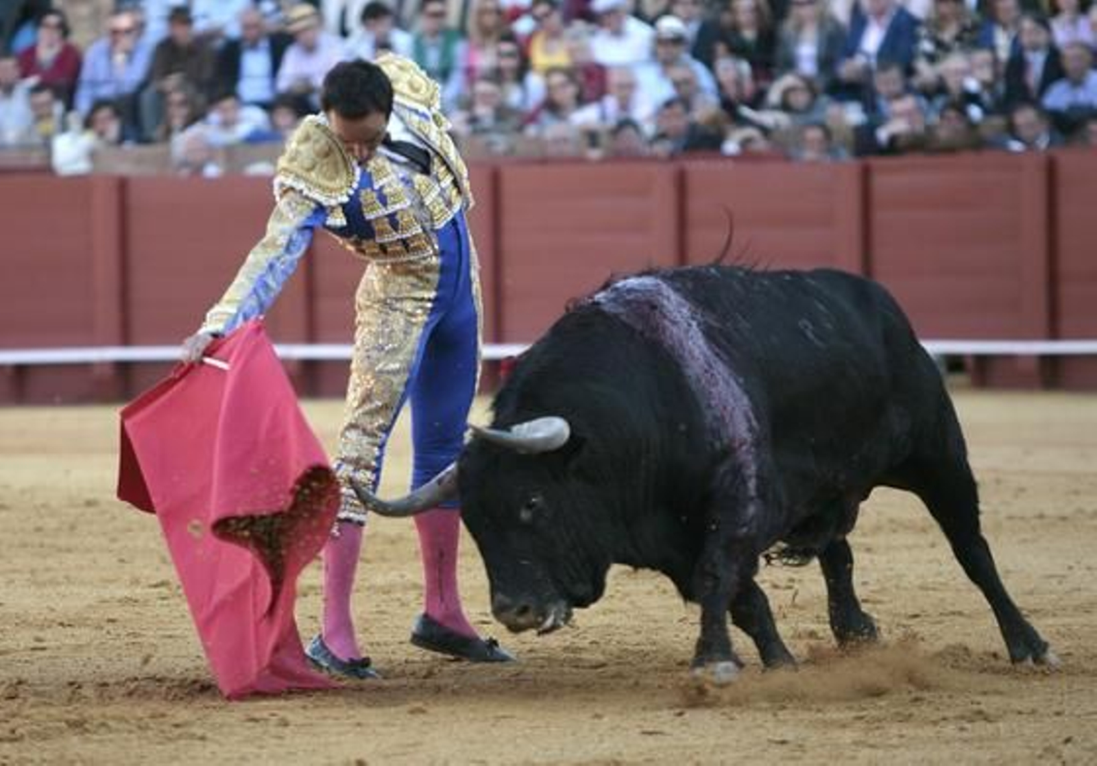 Foto: Juan Carlos Muñoz