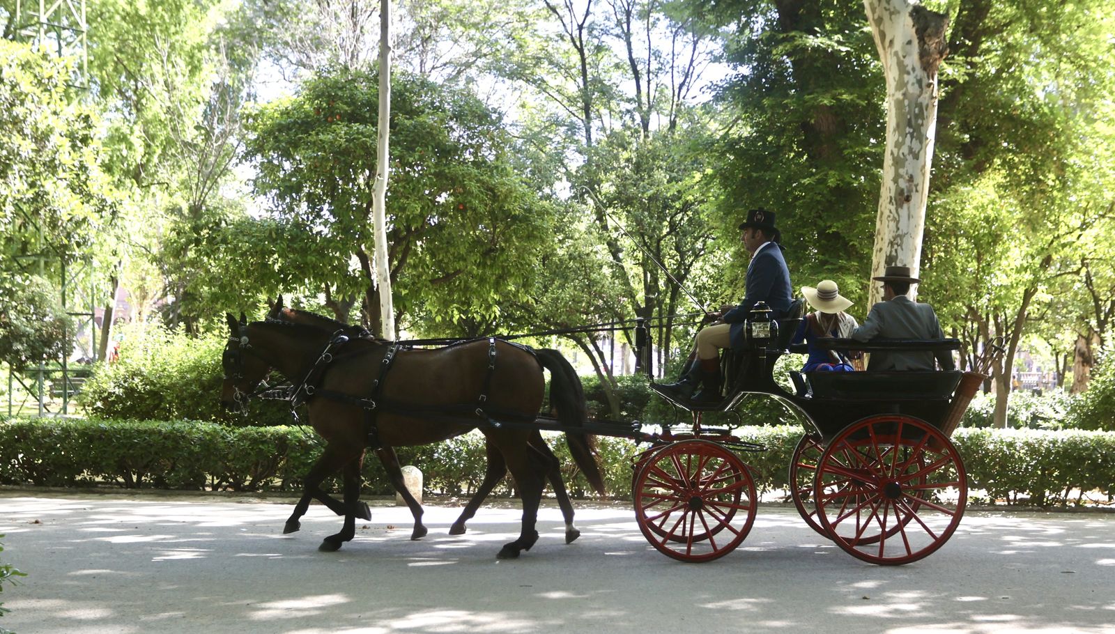 X copa CIAT   Concurso de Enganches