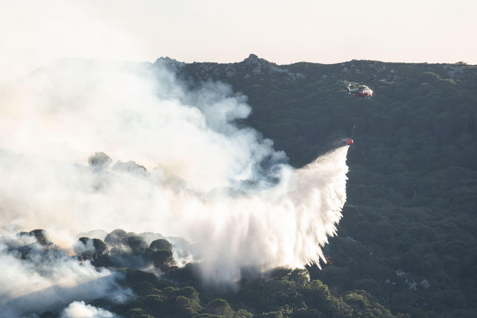 Los efectos del devastador incendio en el paraje monte de La Peña, en imágenes
