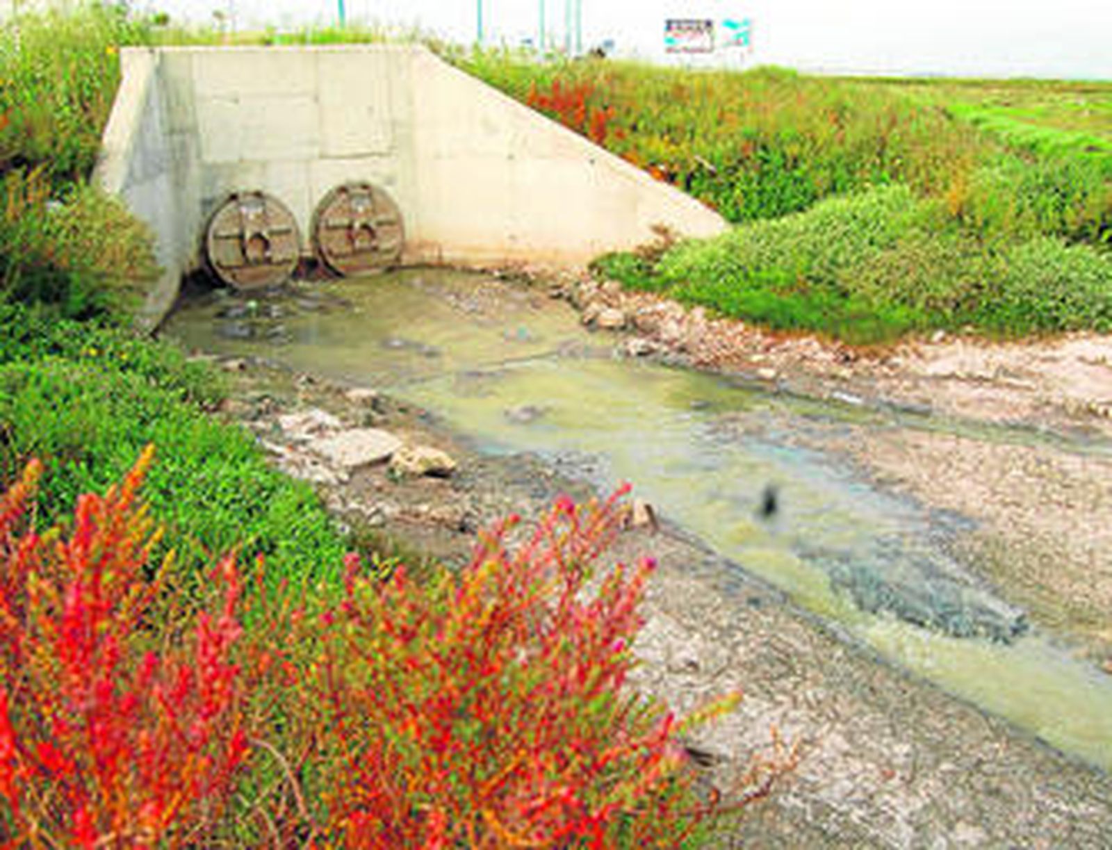 Fotografía tomada en el borde litoral isleño de un aliviadero por el que salen aguas negras, según denuncia del PSOE.