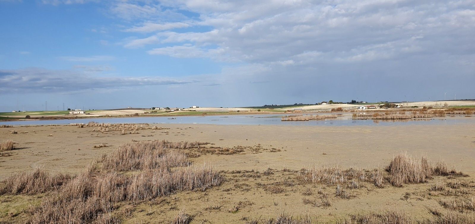 Las marismas de Pozo Lozano, donde los ecologistas han pedido su declaración como Reservas Natural.