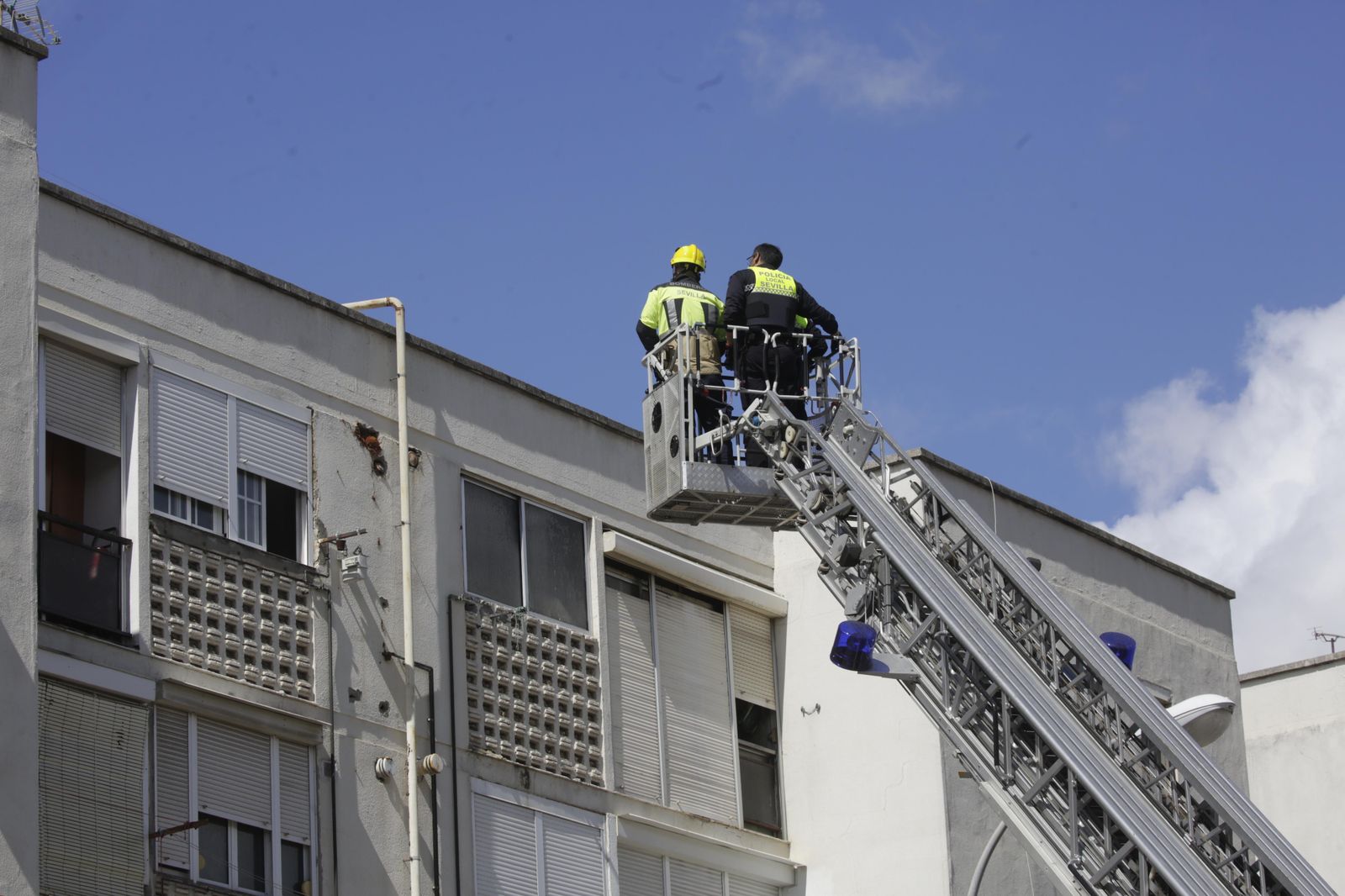 Imágenes del dispositivo policial para encontrar al autor del atropello