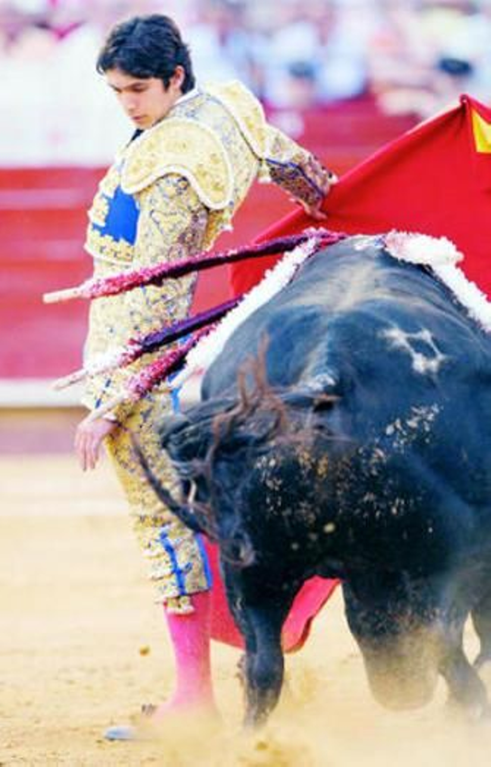 Castella dando una pase cambiado al toro de las dos orejas.