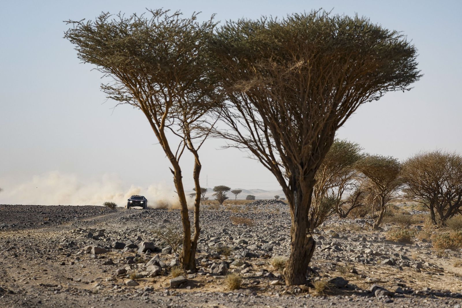 Las mejores fotos del Rally Dakar | Novena etapa