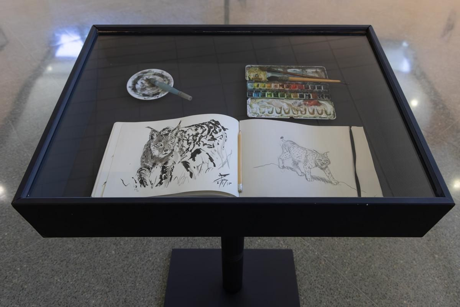 Exposición Los pinceles del lince ibérico, en imágenes